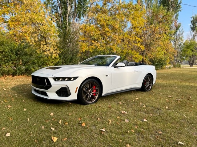 S650 Mustang White Ragtop arrived w/ topdown pics 2