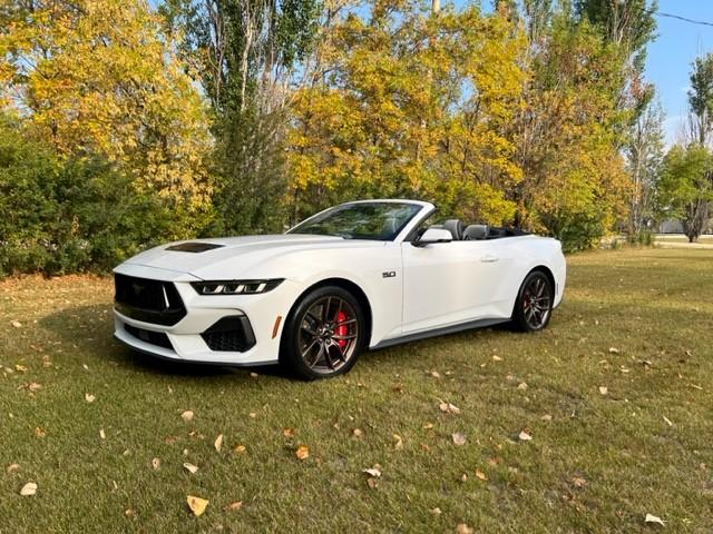 S650 Mustang Oxford White exterior with Space Gray interior? 2