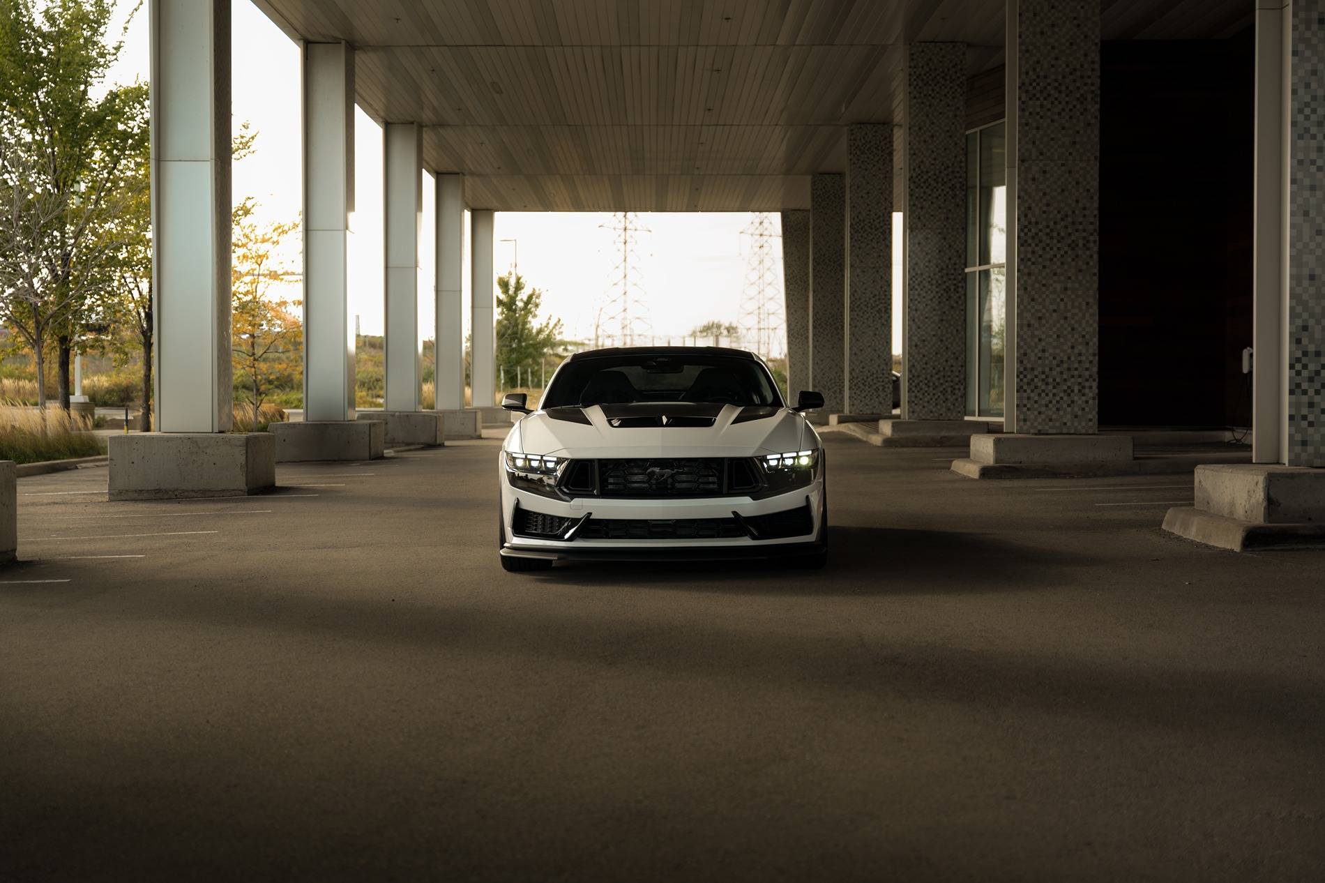 S650 Mustang 2024 Dark Horse Premium "Freyja" (Chassis # 7161) - My Build Journal 2