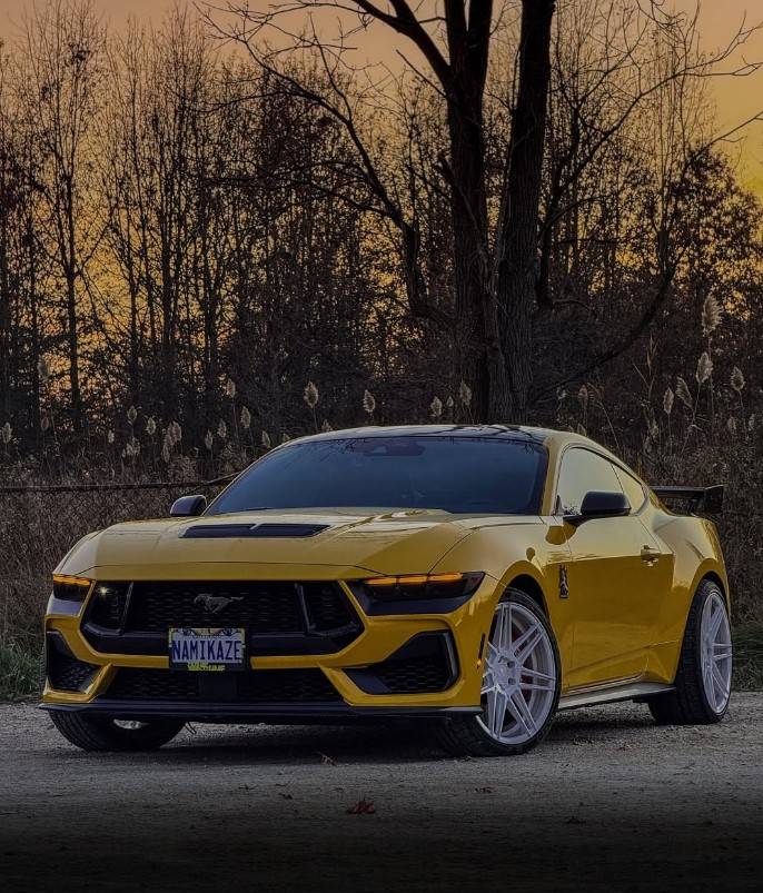 S650 Mustang Yellow Splash Metallic ? 2