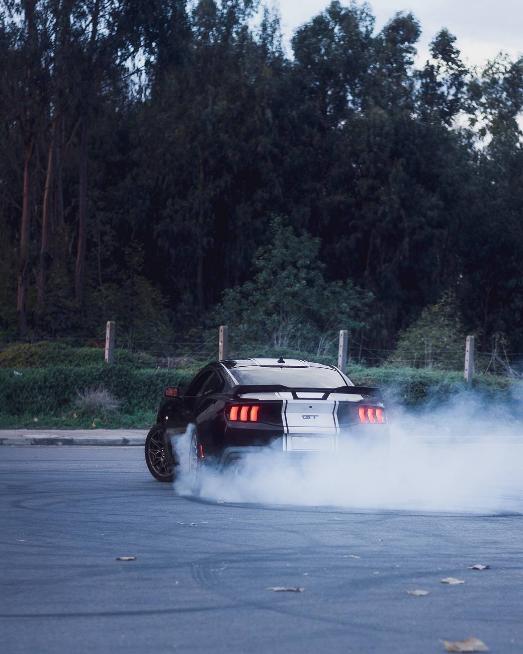 S650 Mustang Cool Daily Random S650 Mustang Pics -- Post Yours! 📸 2.JPG