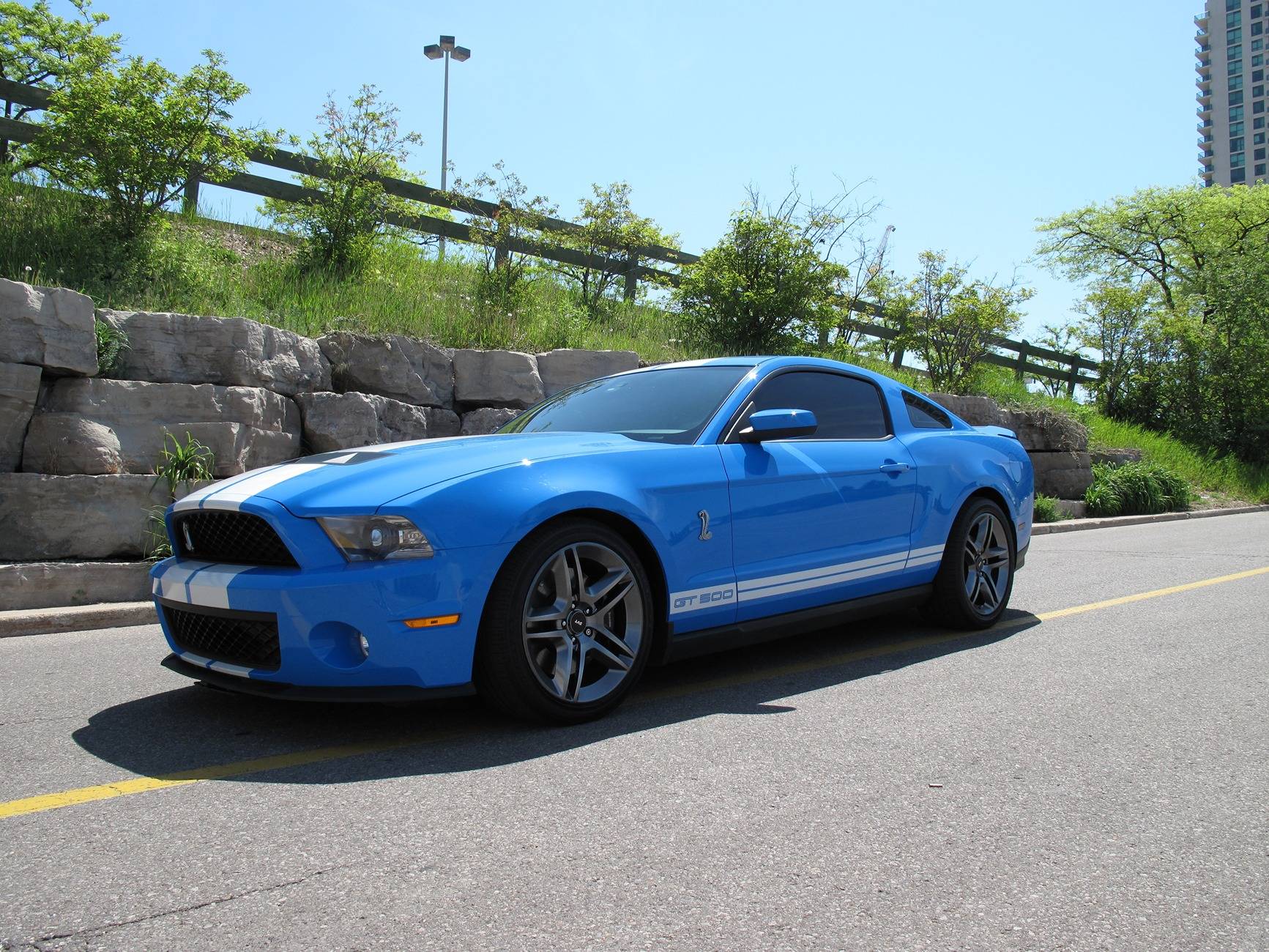 S650 Mustang How many Mustangs have owned? 2010.JPG