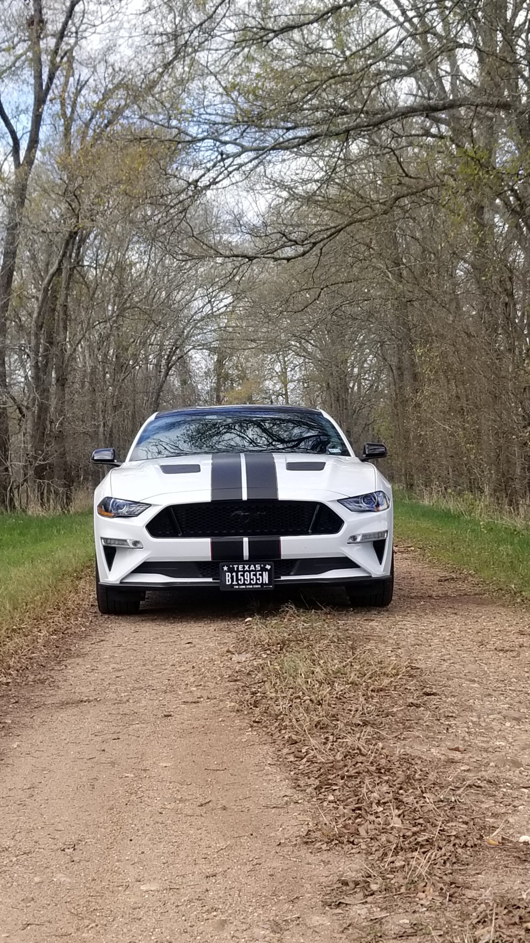 S650 Mustang Pic Test 20191215_120649