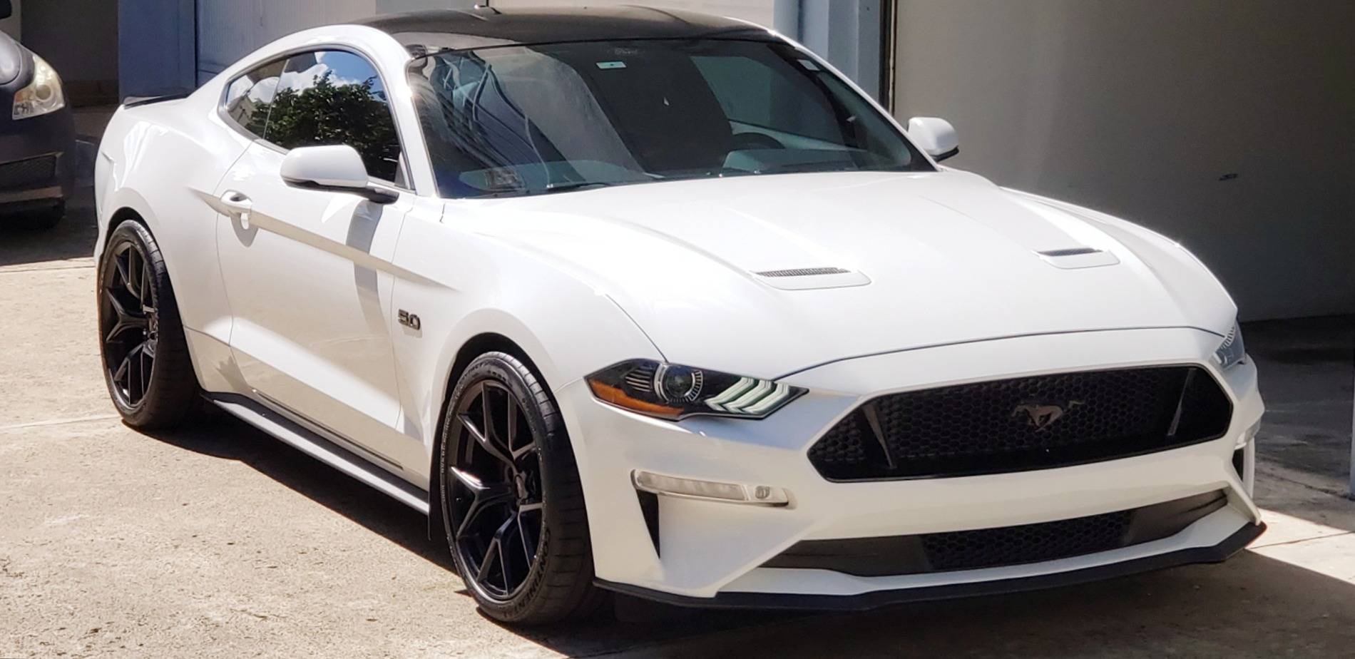 S650 Mustang Introductions & Welcome Thread 👋 20210929_145624