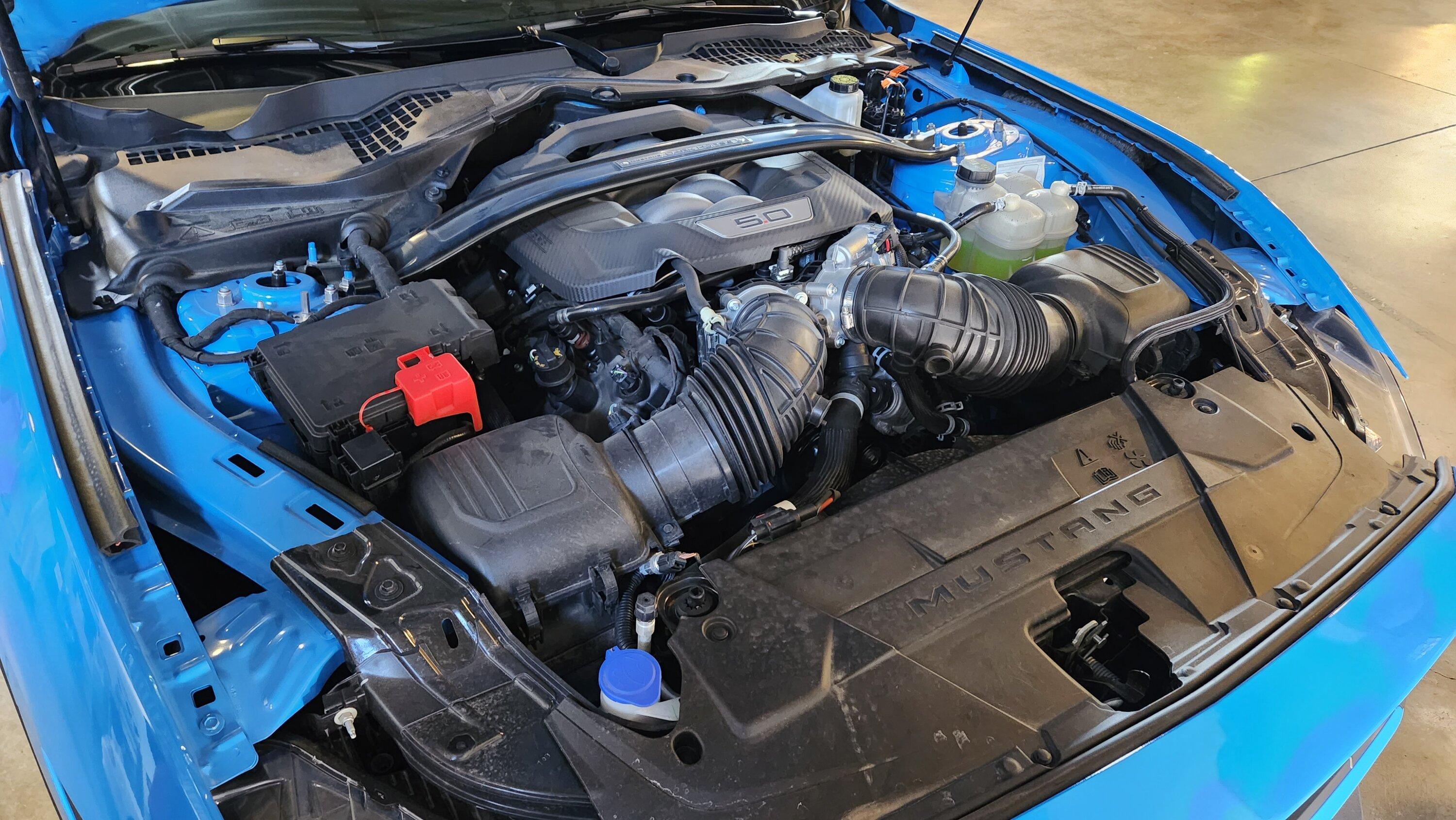 S650 Mustang Official GRABBER BLUE Mustang S650 Thread 20230818_112310