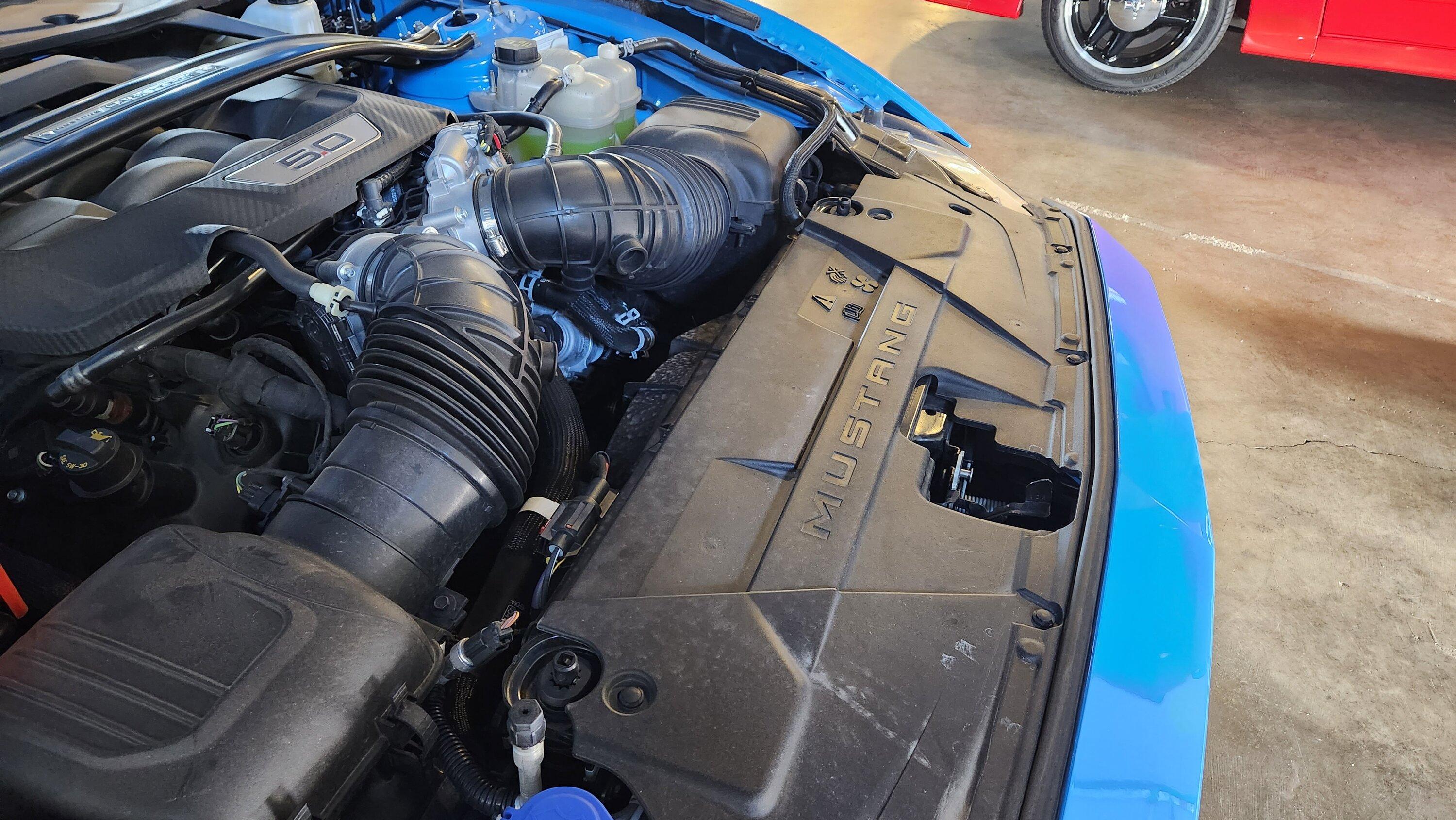 S650 Mustang Grabber Blue Dark Horse with Handling Pack in Detroit Area 20230818_112343