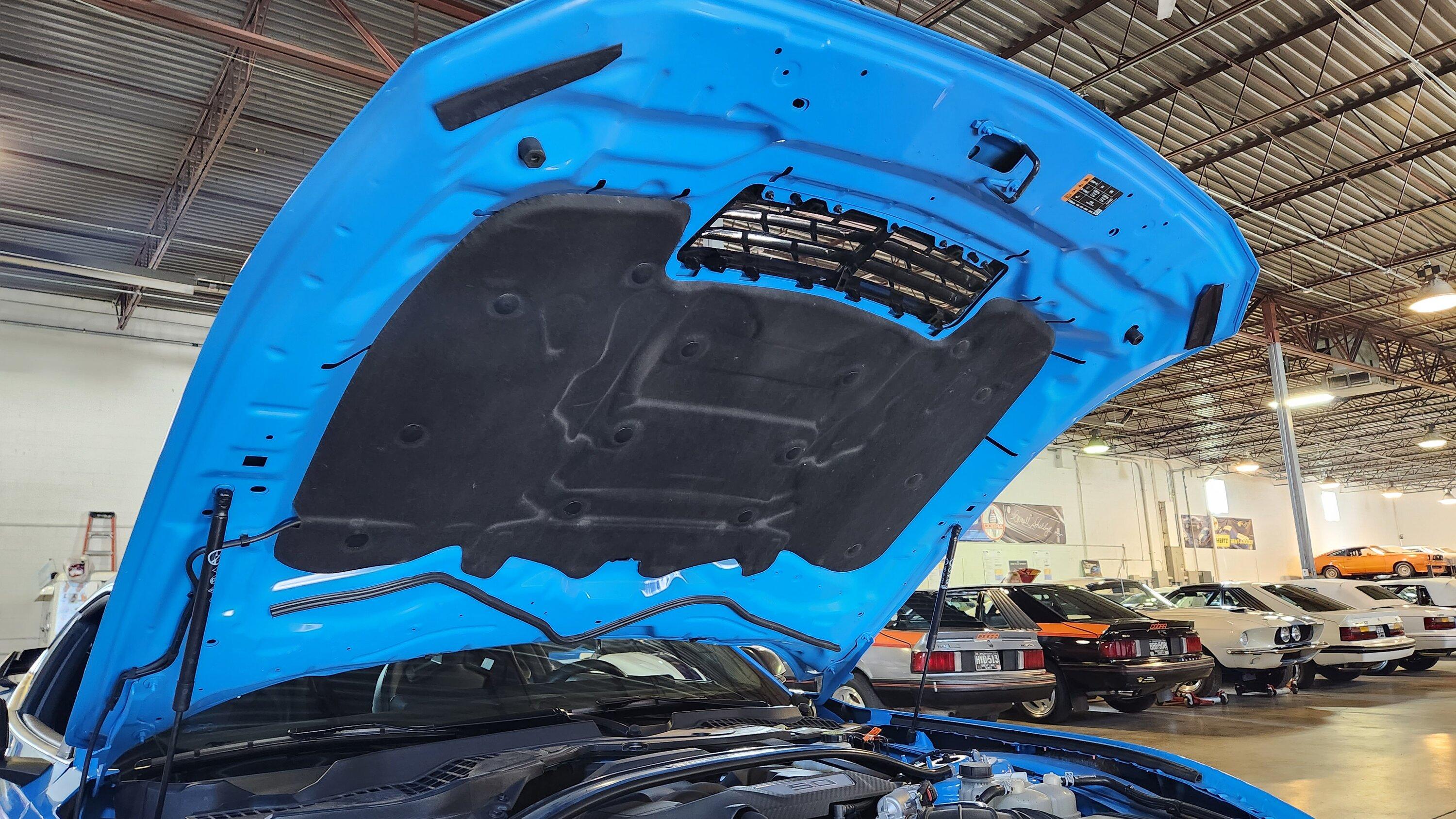 S650 Mustang Grabber Blue Dark Horse with Handling Pack in Detroit Area 20230818_112351