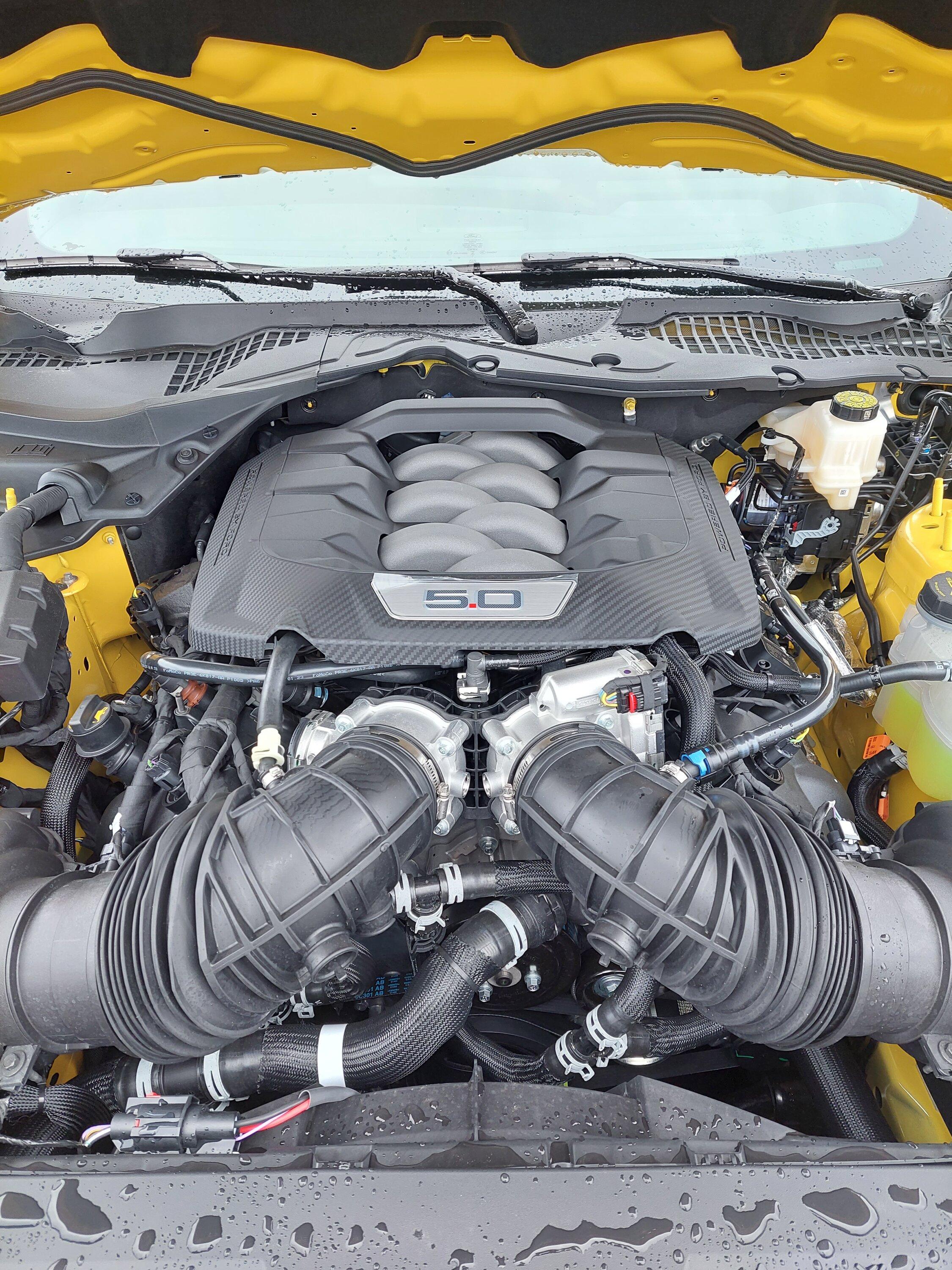 S650 Mustang Official YELLOW SPLASH Mustang S650 Thread 20230823_133459-