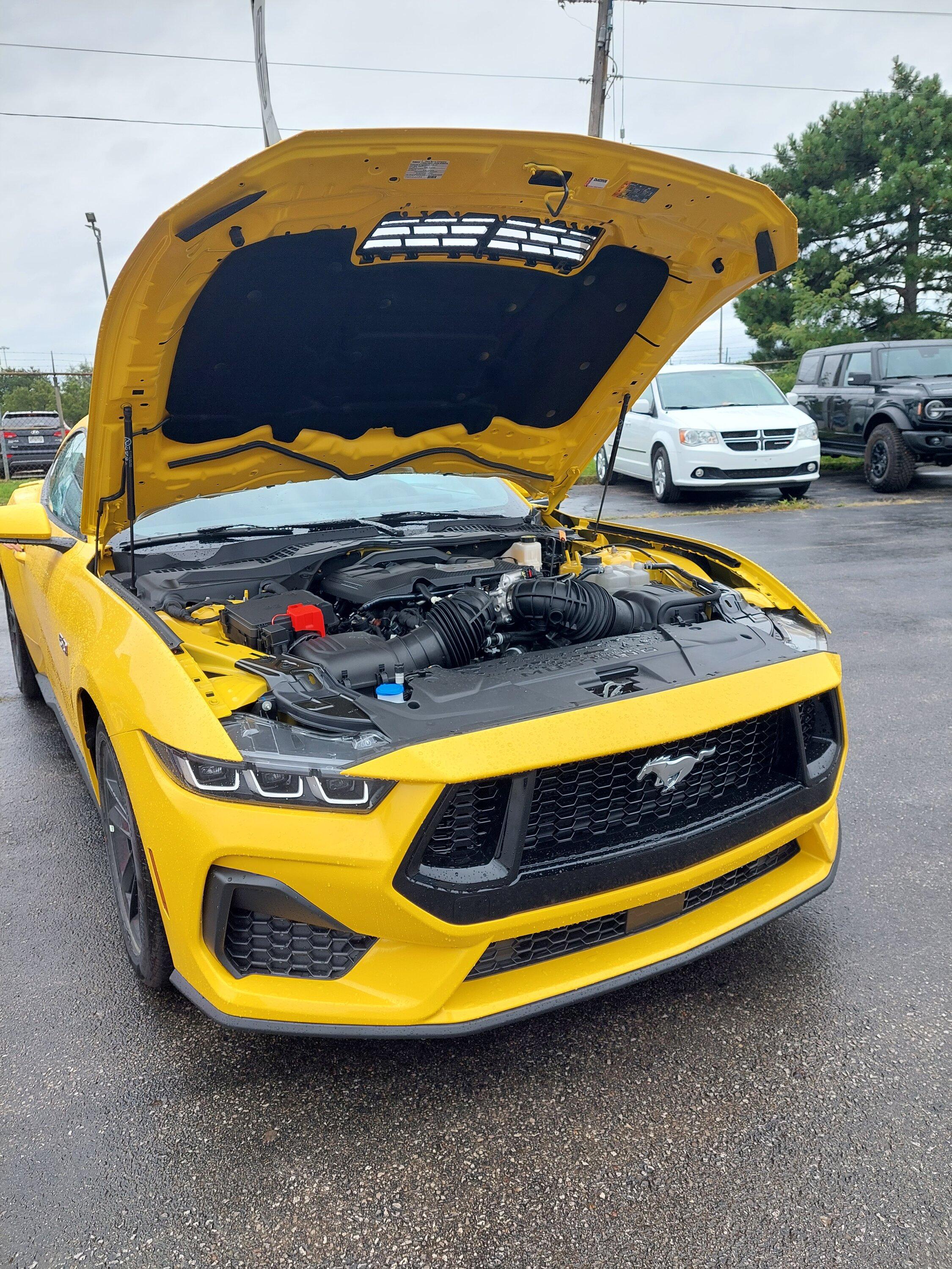 First 2025 Mustang GT Canadian Order Delivered! Mustang7G 2025