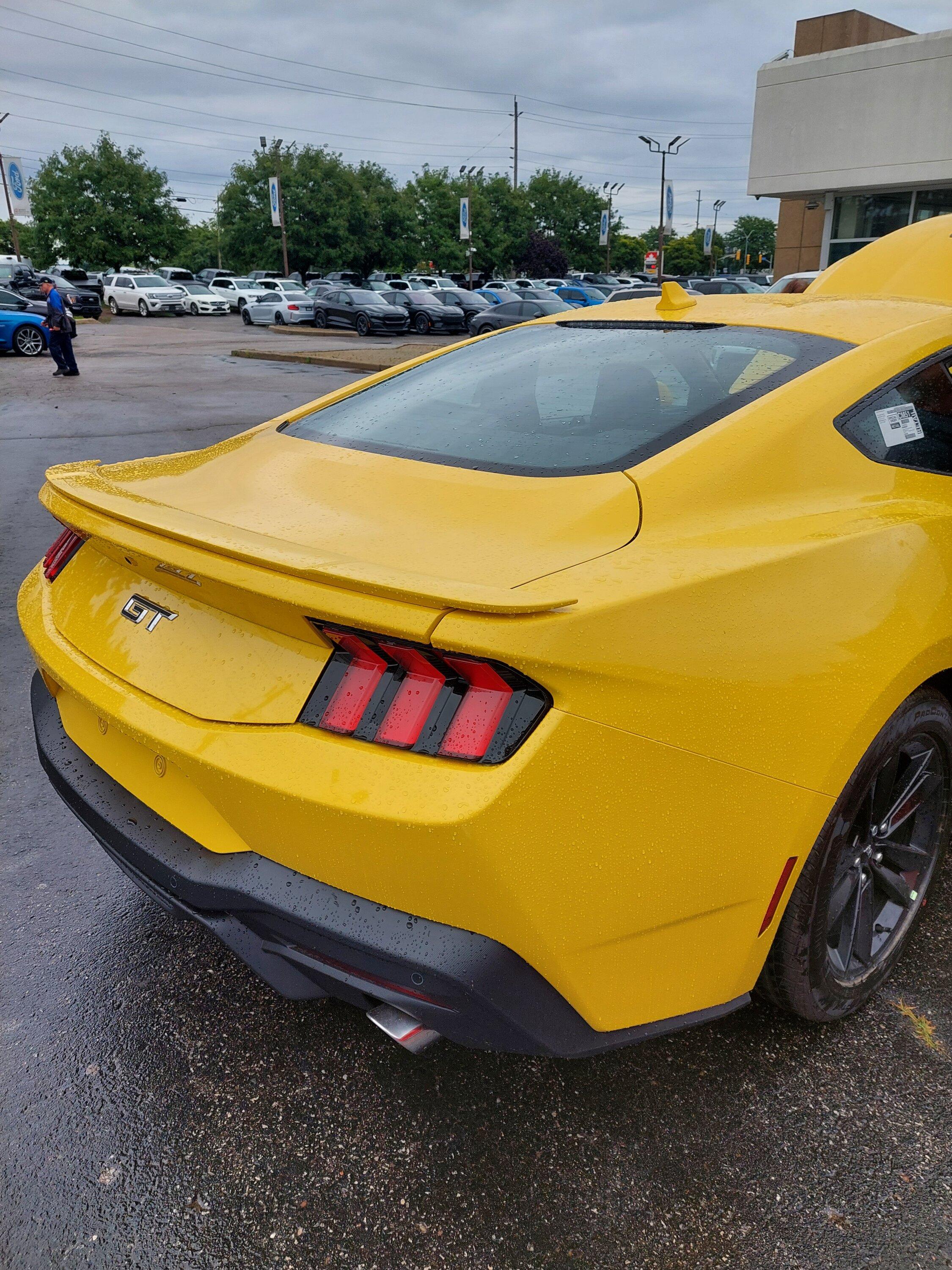 S650 Mustang Official YELLOW SPLASH Mustang S650 Thread 20230823_133551-