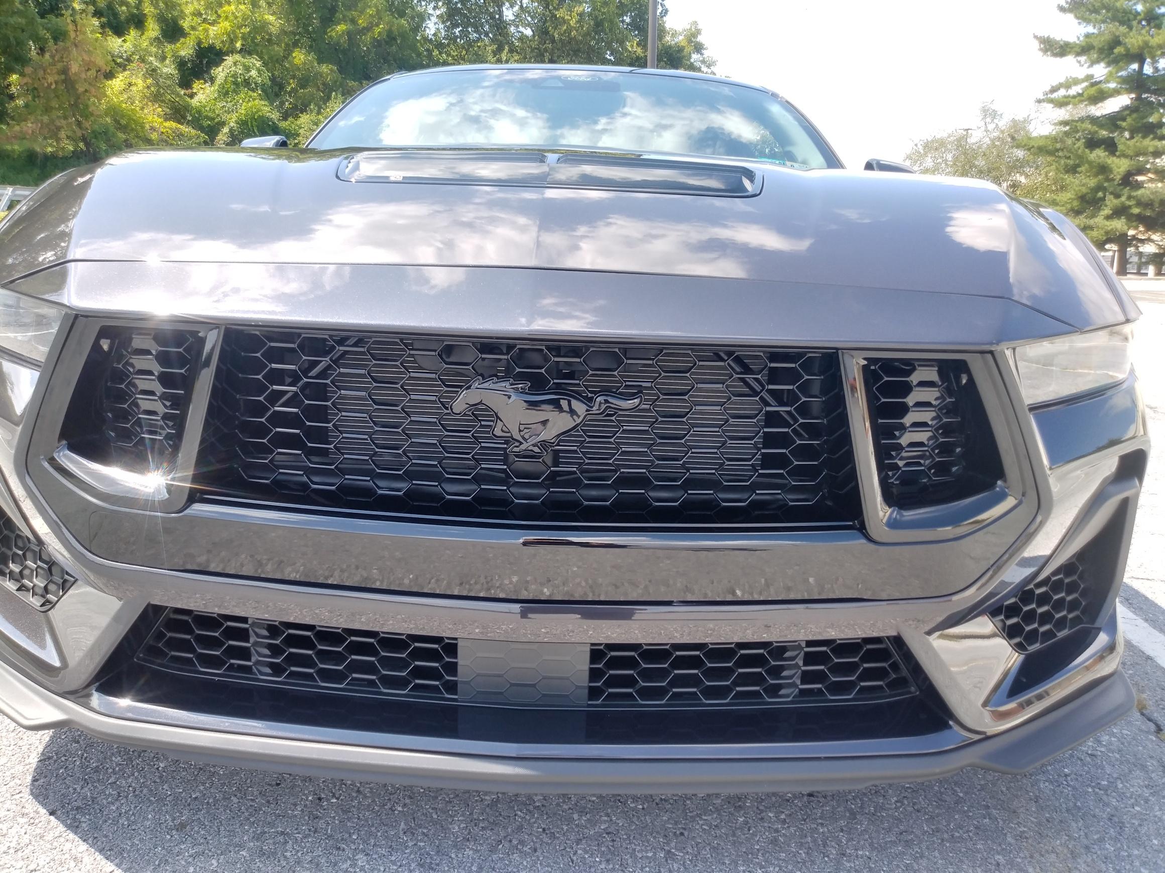 20230830_125312_HDR_resized.jpg