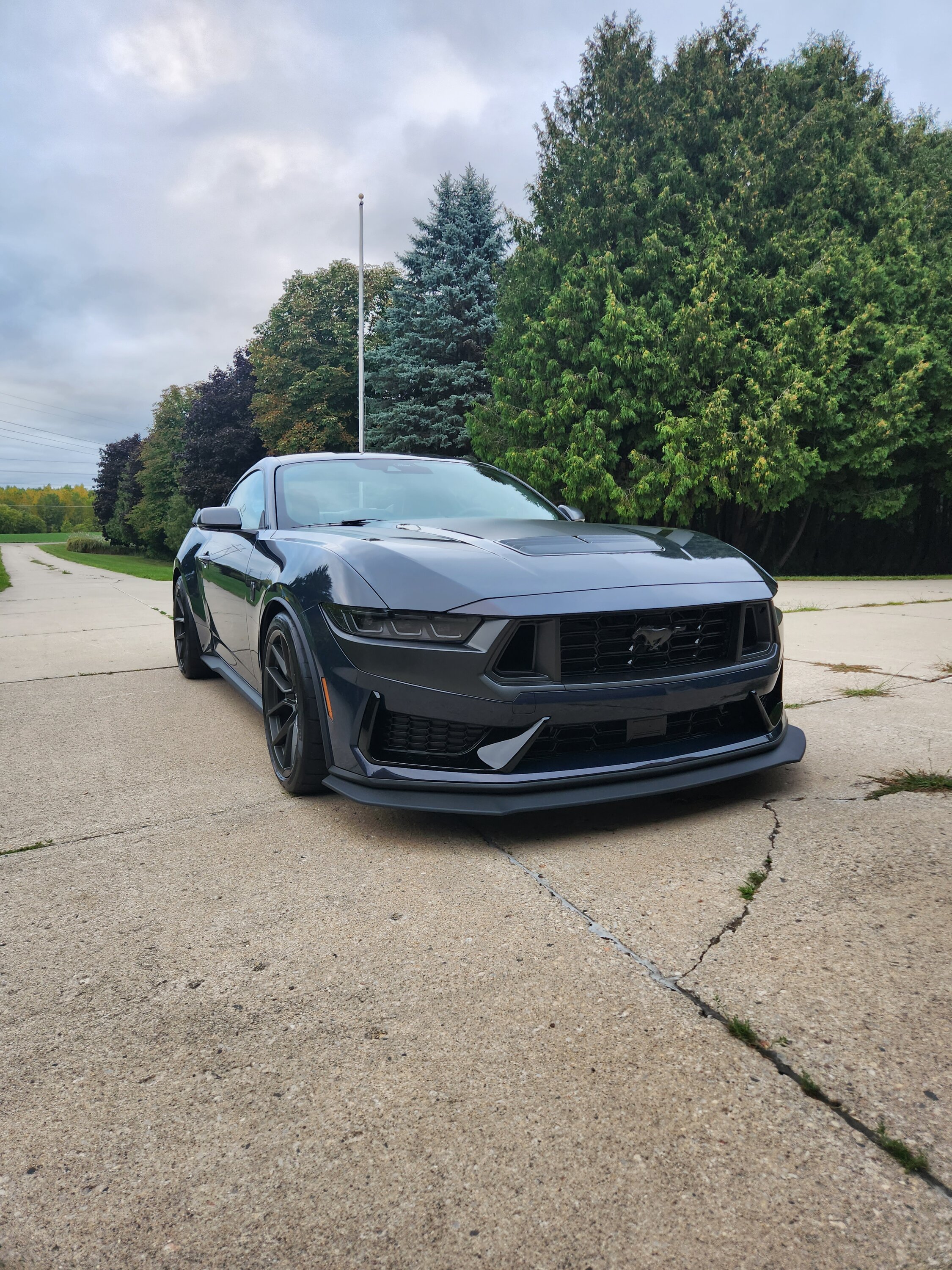 S650 Mustang Delivery Pics & Video: Pyroguy's Blue Ember Dark Horse, HP 20230907_184918