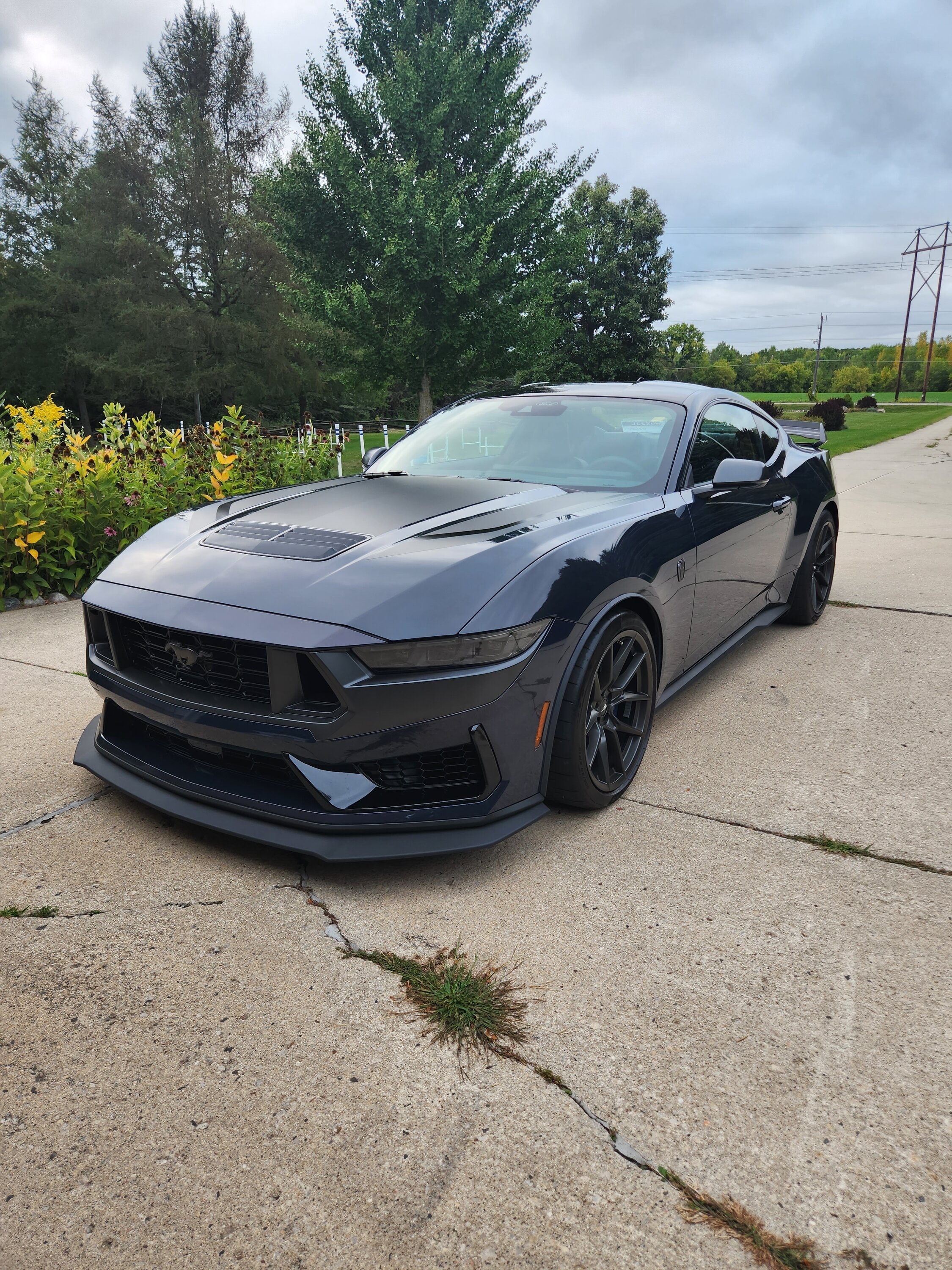 S650 Mustang Delivery Pics & Video: Pyroguy's Blue Ember Dark Horse, HP 20230907_184927