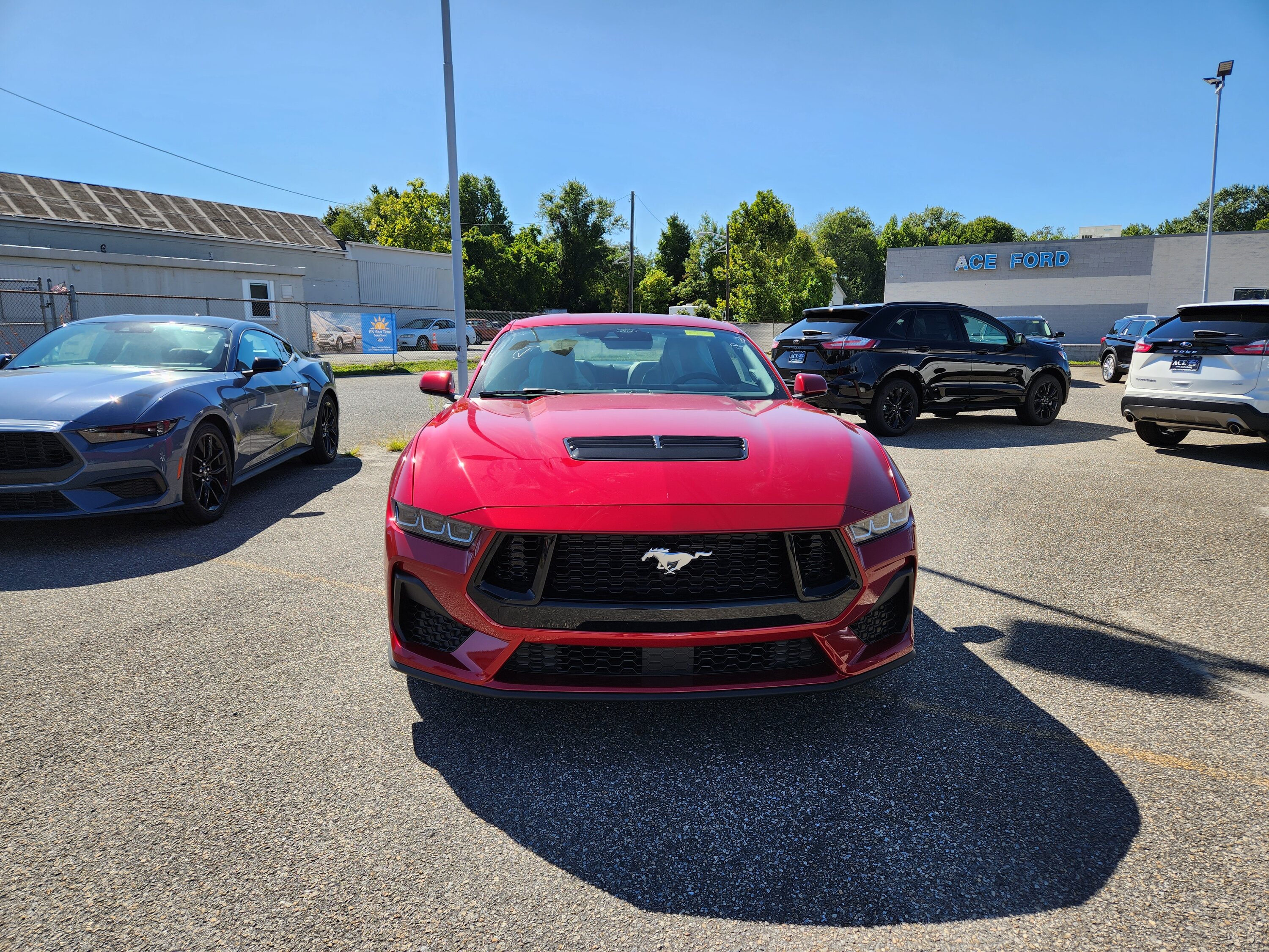 S650 Mustang Jersey Garage 20230915_150000