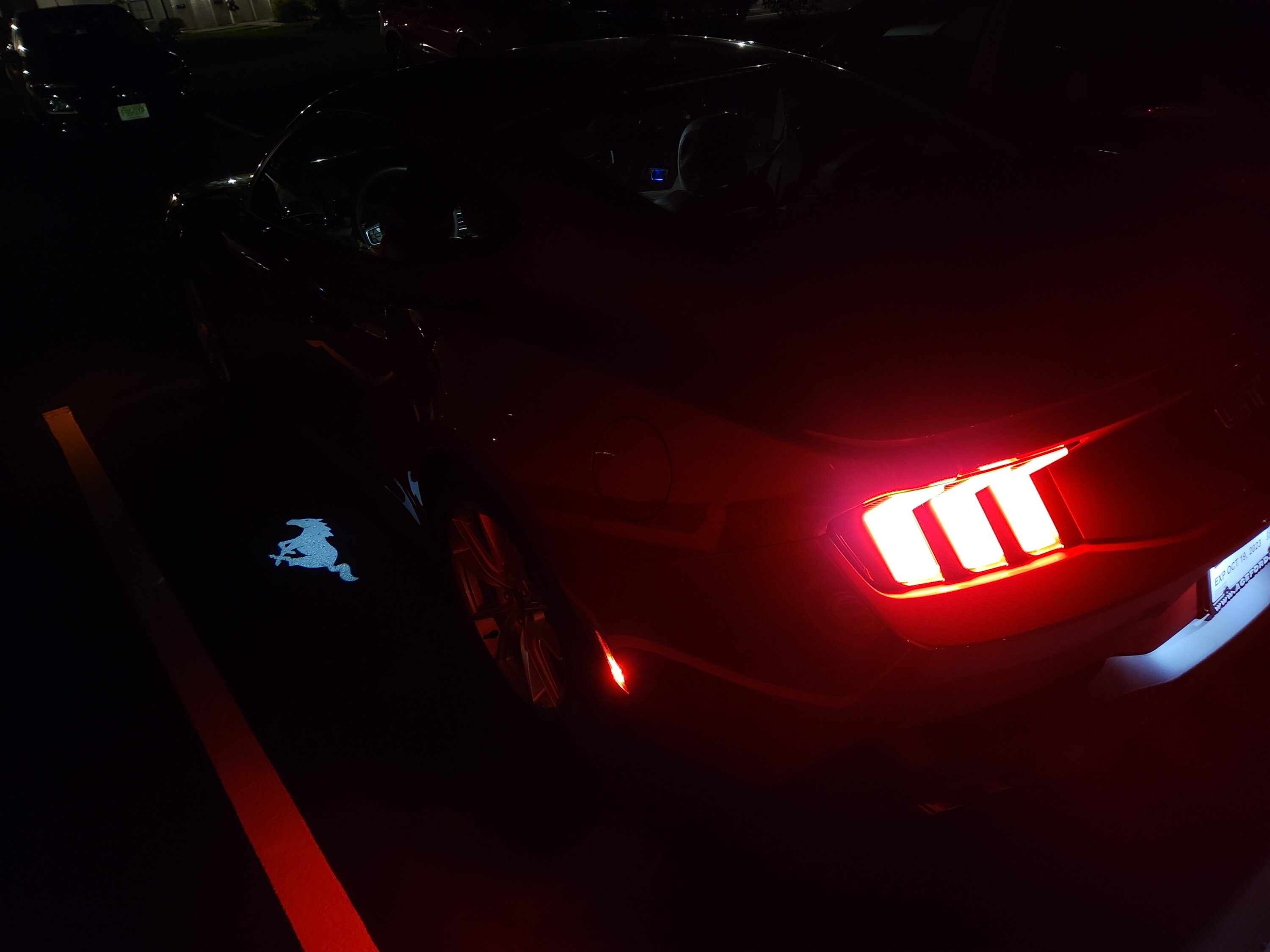 S650 Mustang Jersey Garage 20230921_214748