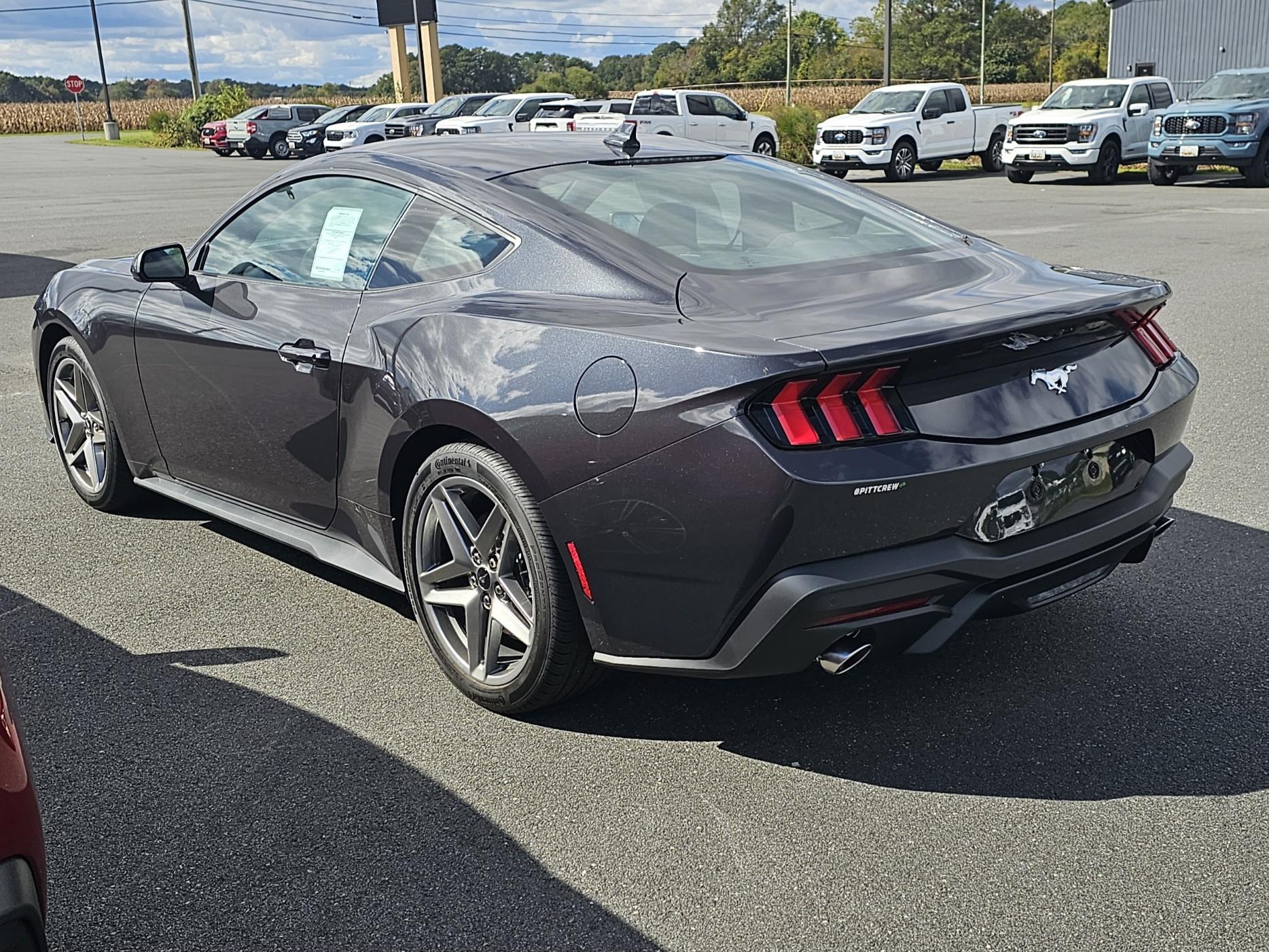 S650 Mustang Official DARK MATTER GRAY Mustang S650 Thread 20231015_140303_resized