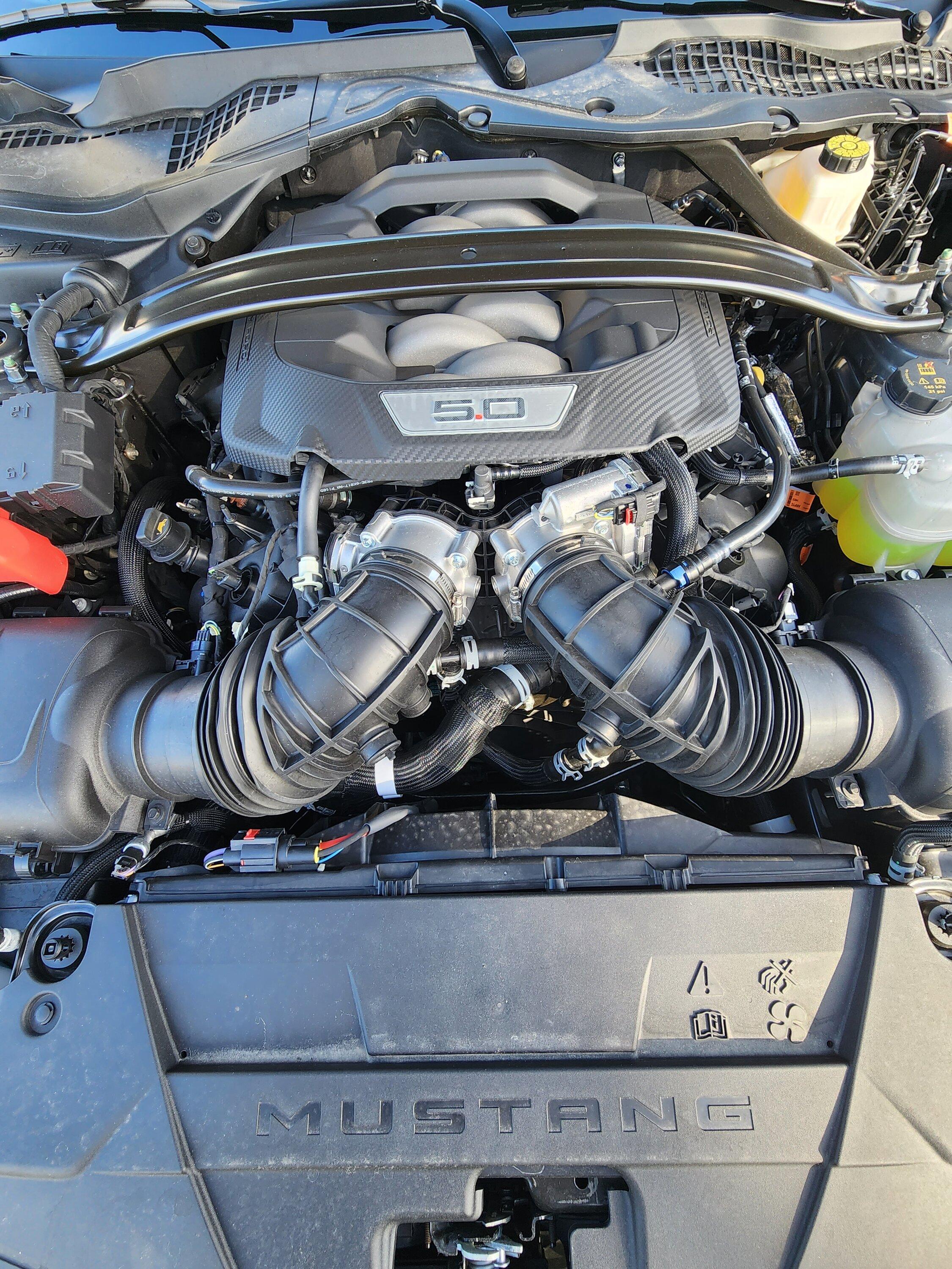 S650 Mustang Official CARBONIZED GRAY Mustang S650 Thread 20231025_100257