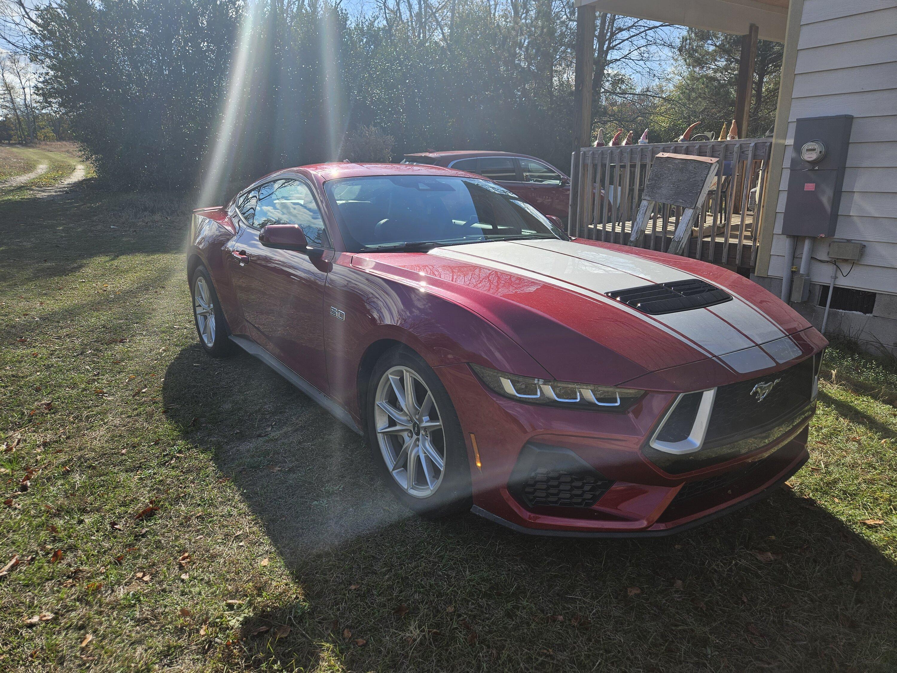 S650 Mustang Custom hood stripe and grill painted on my S650 GT 20231122_134622