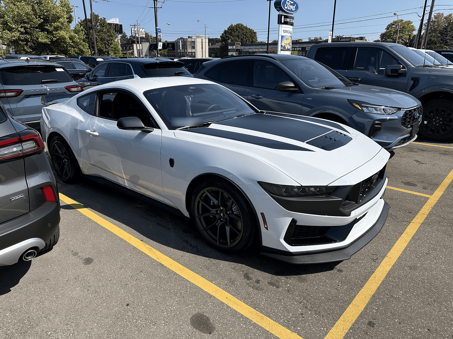 S650 Mustang 2024 Dark Horse Premium "Freyja" (Chassis # 7161) - My Build Journal 2024-09-05_15h39_07