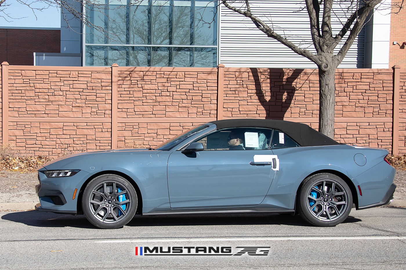 S650 Mustang 2024 Mustang EcoBoost Convertible Spied in Vapor Blue w/Blue Brembos 2024-mustang-convertible-ecoboost-vapor-blue-s650-4