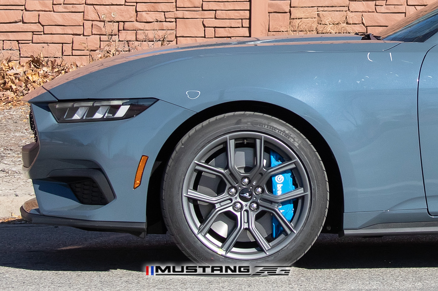 S650 Mustang Official VAPOR BLUE Mustang S650 Thread 2024-mustang-convertible-ecoboost-vapor-blue-s650-5