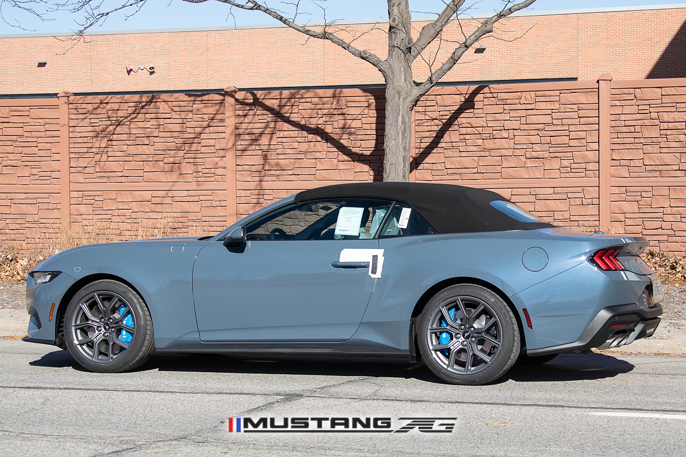 S650 Mustang 2024 Mustang EcoBoost Convertible Spied in Vapor Blue w/Blue Brembos 2024-mustang-convertible-ecoboost-vapor-blue-s650-7