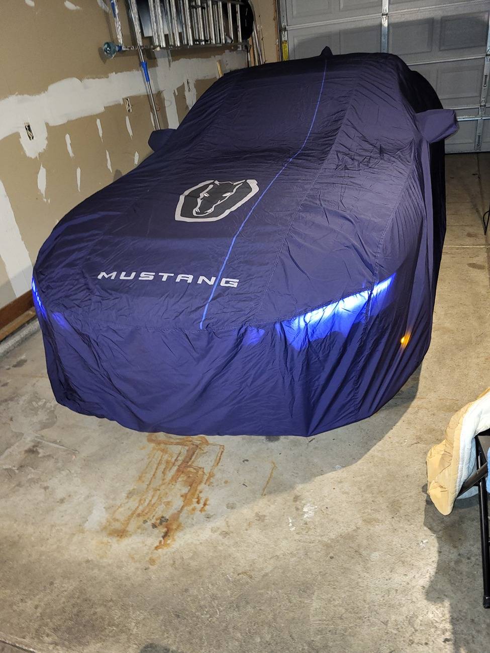 S650 Mustang Do you store your car in winter and why if or not 20240104_191500