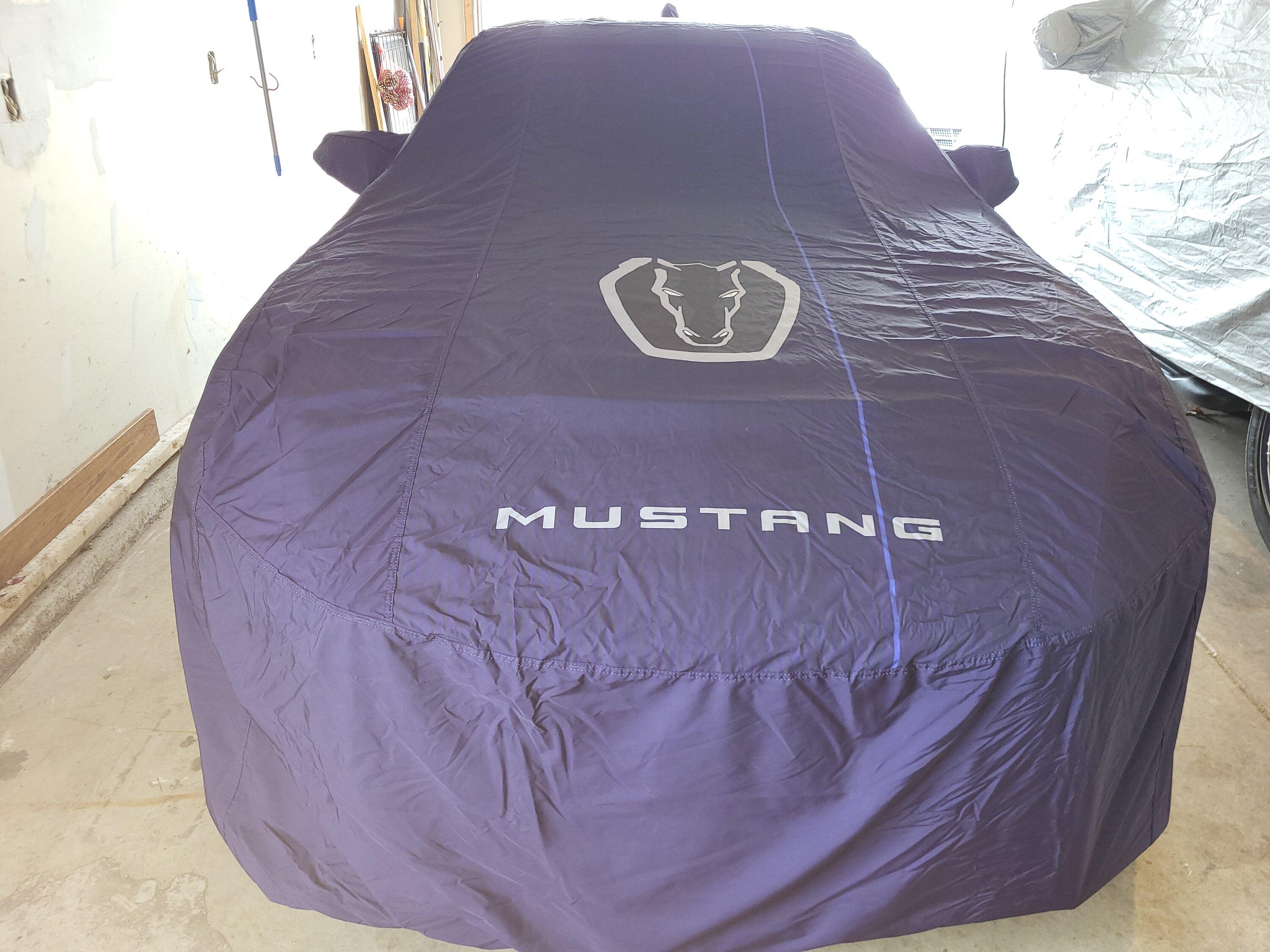 S650 Mustang Need new/different rims for my DH 20240105_104516