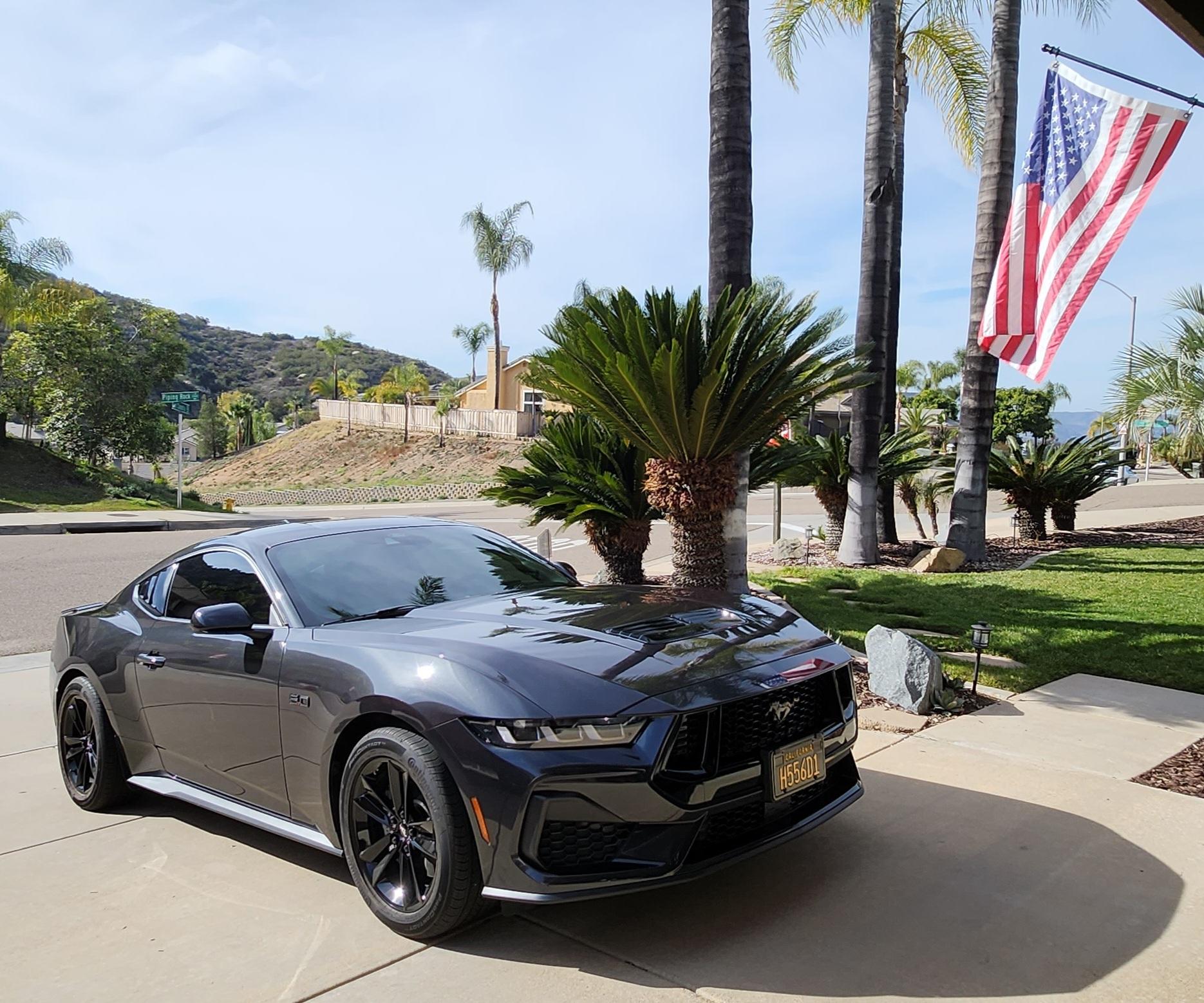 S650 Mustang Nite Pony Package on a Black Mustang PP 20240115_134523
