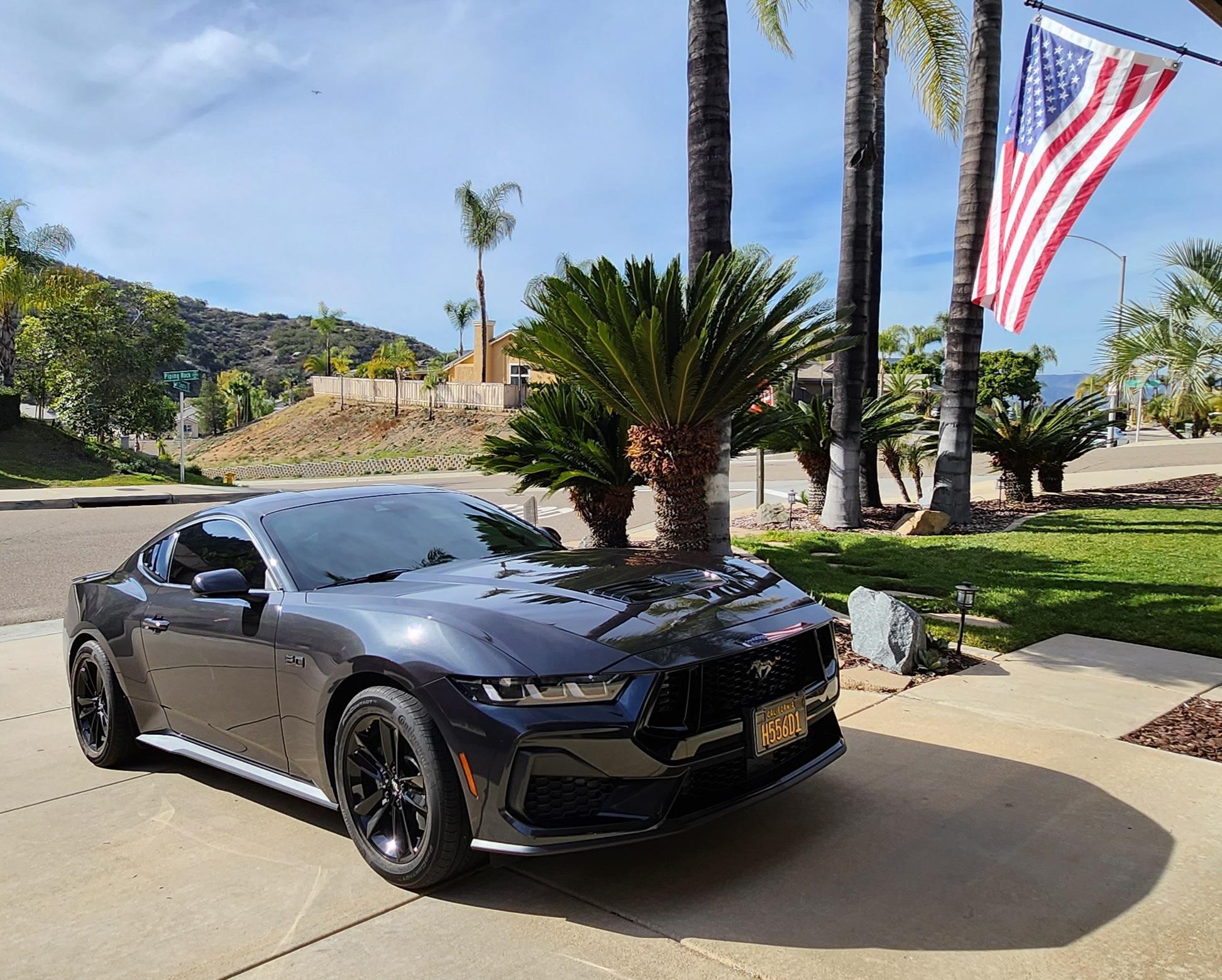 S650 Mustang Nite Pony Package on a Black Mustang PP 20240115_134538
