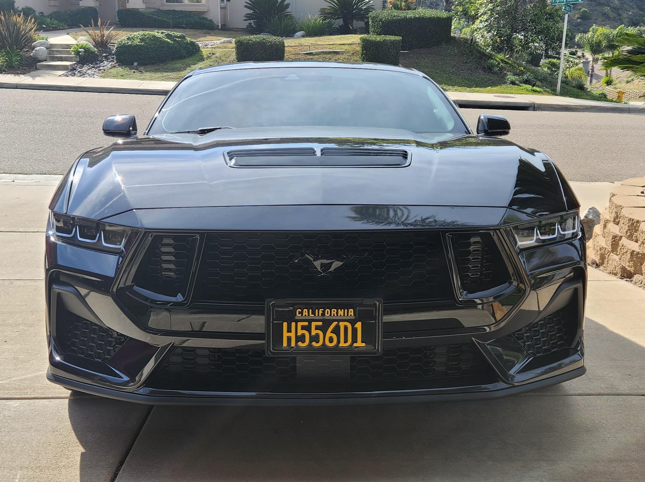 S650 Mustang Nite Pony Package on a Black Mustang PP 20240115_134816