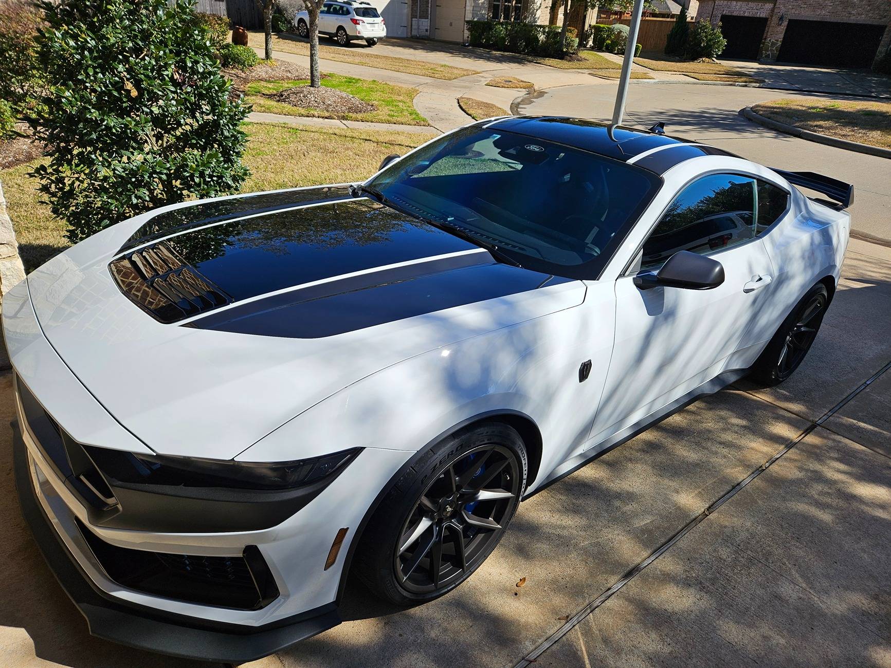 S650 Mustang Dark Horse Painted hood vs Vinyl decal 20240125_141111