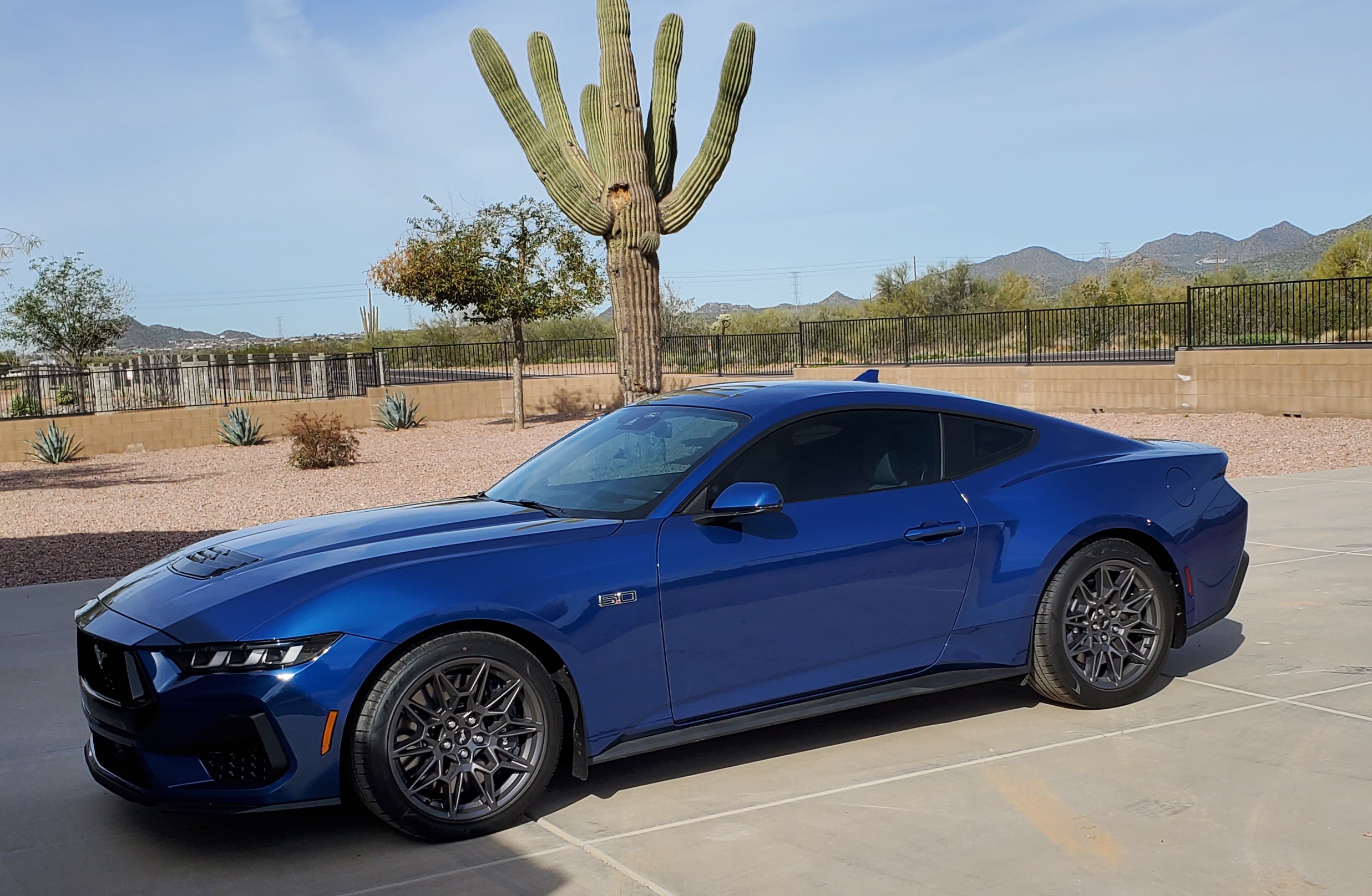 S650 Mustang Official ATLAS BLUE Mustang S650 Thread 20240223_100633