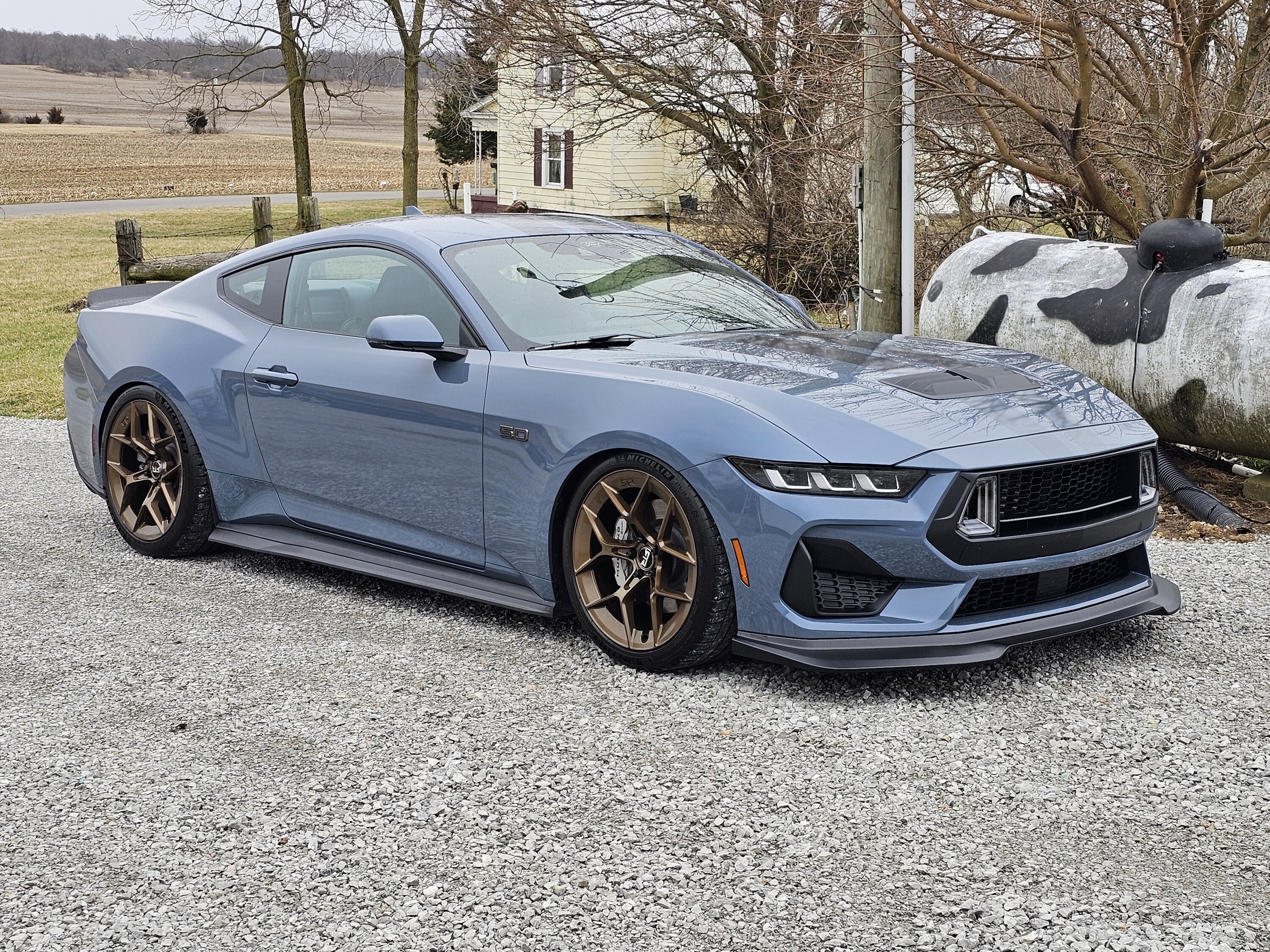 S650 Mustang What's going on with Vapor Blue colour?? Some doubts about the true tone 20240301_142327