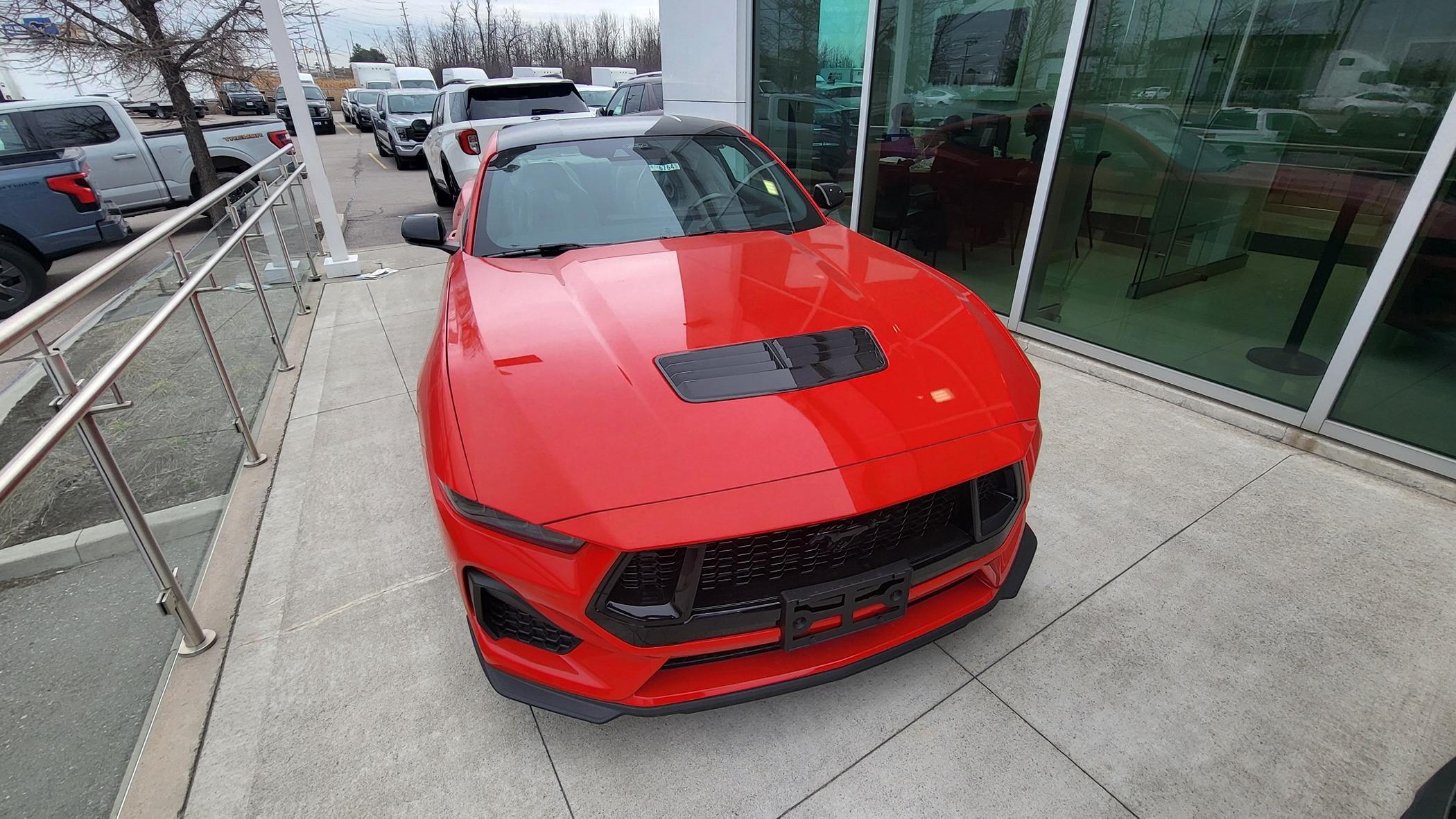 S650 Mustang New Member 20240314_144451