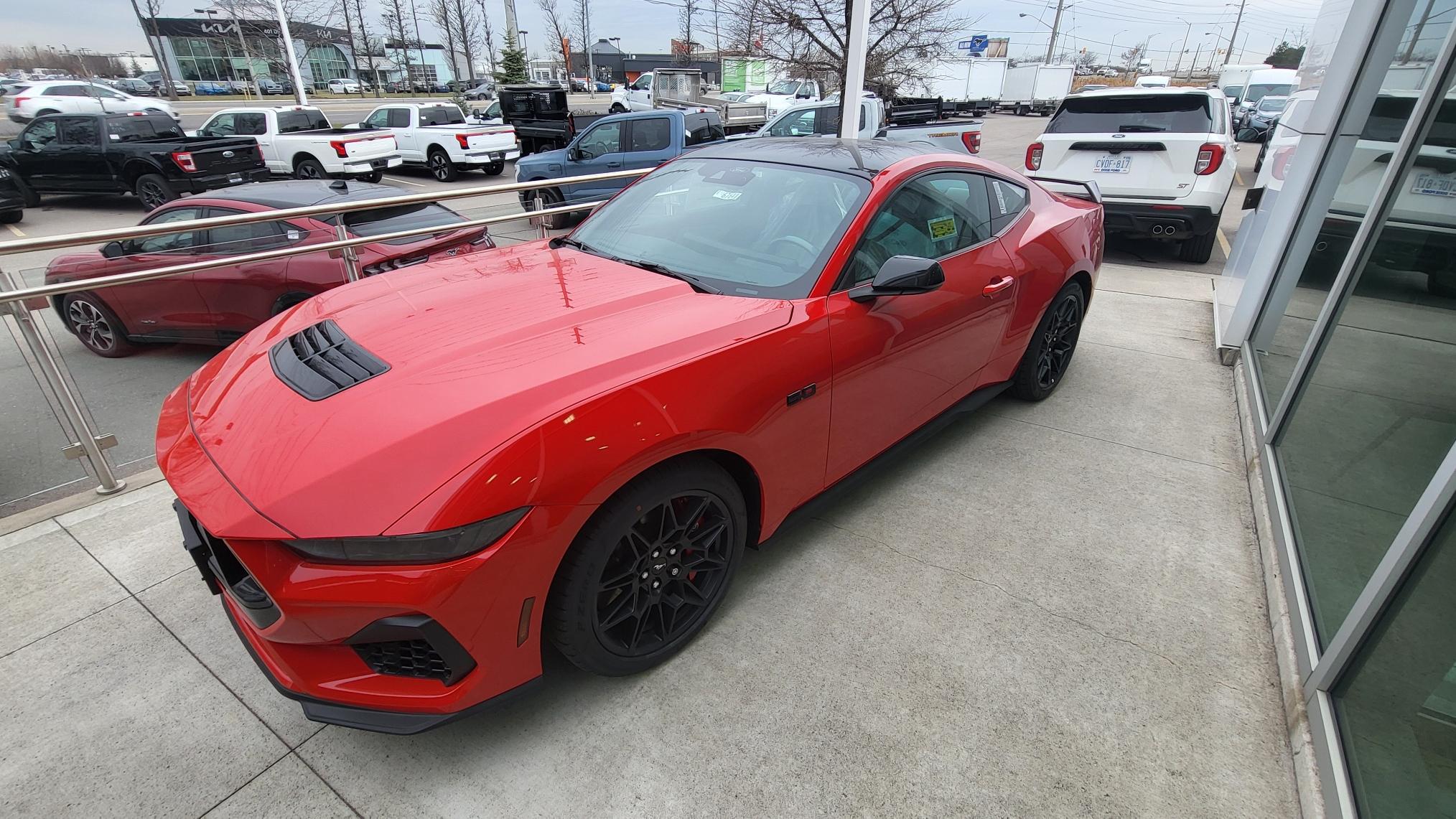 S650 Mustang New Member 20240314_144459