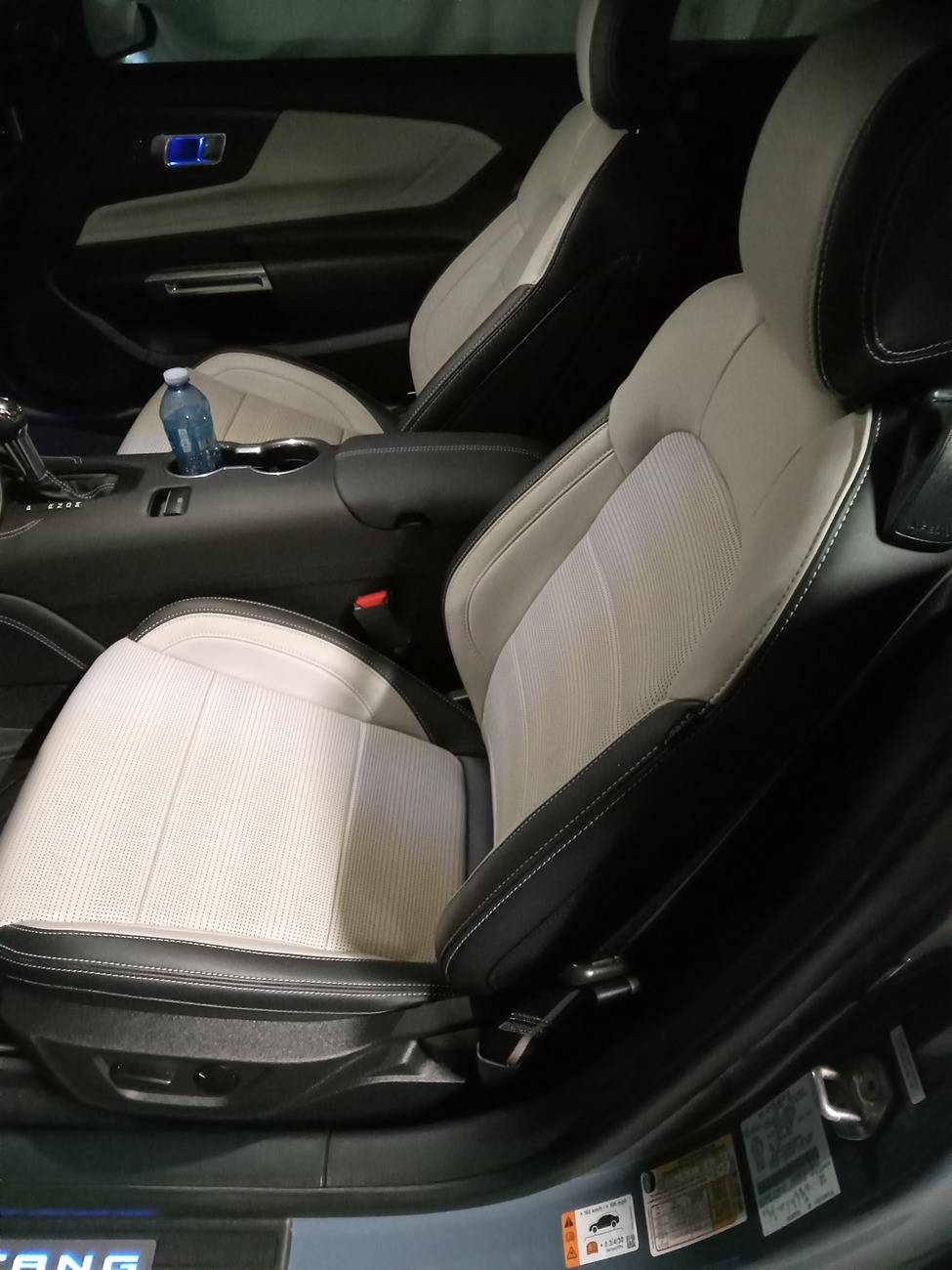 S650 Mustang Interior Colour 20240318_115704