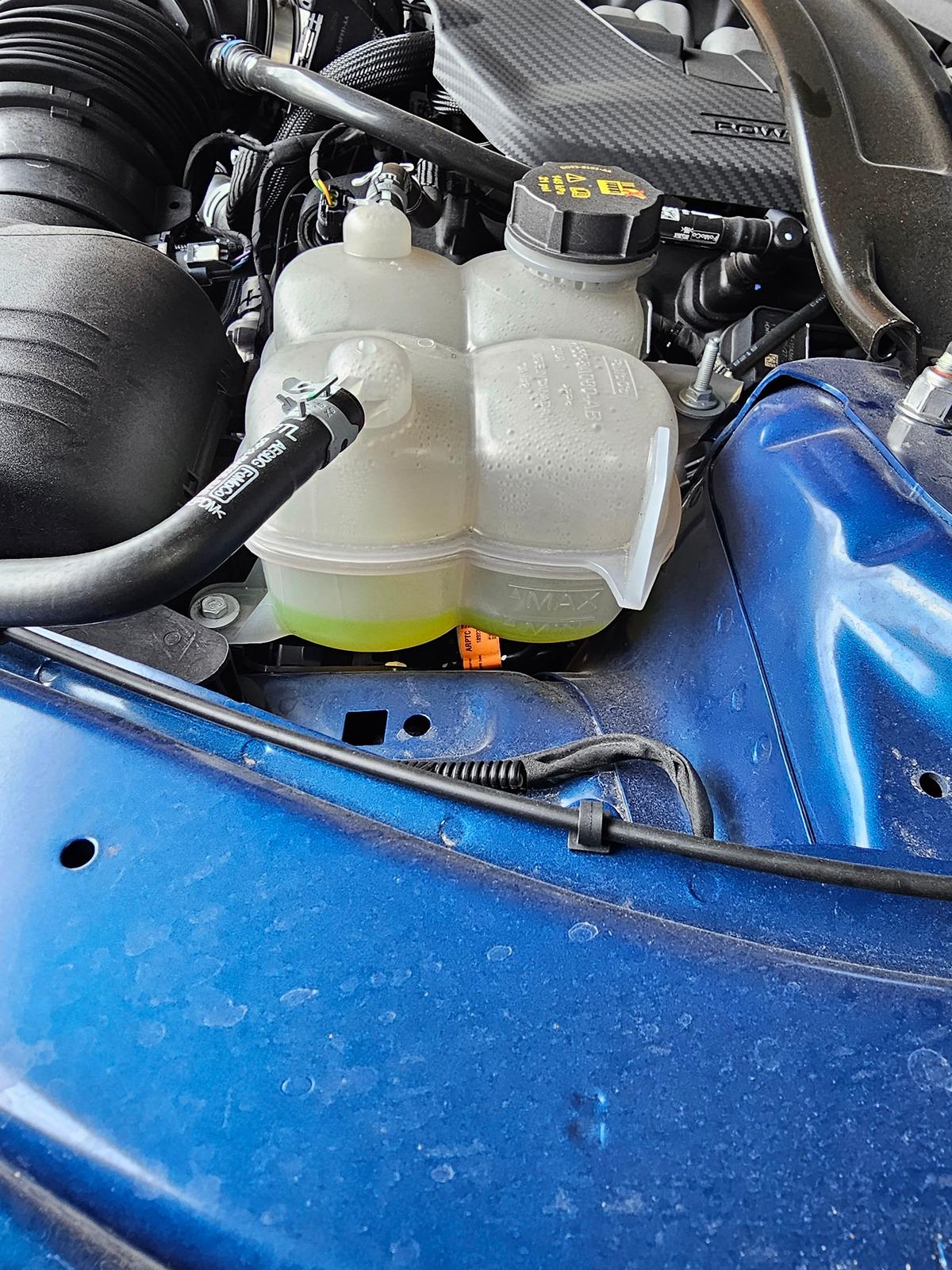 S650 Mustang Coolant level when cold 20240409_181955