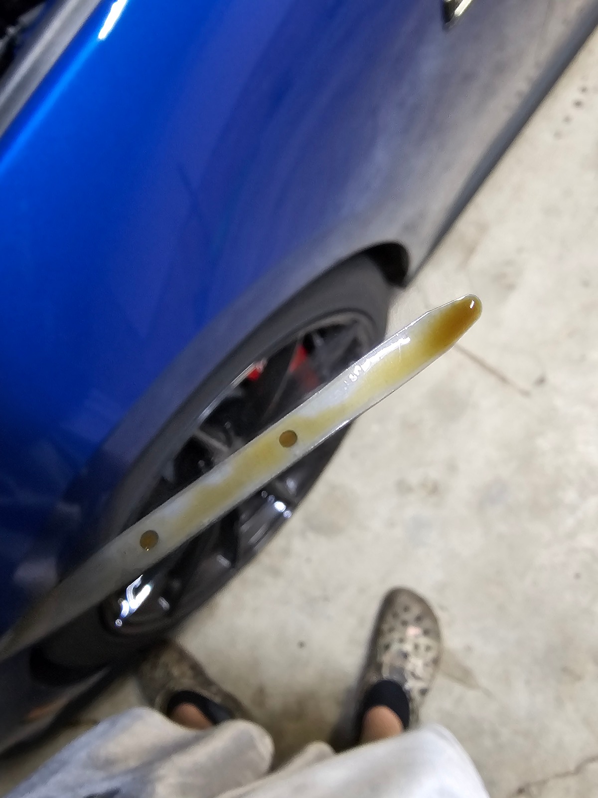 S650 Mustang Exhaust Smells like Coolant/Sweet 20240422_071653