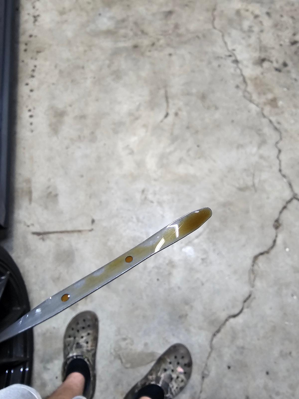 S650 Mustang Exhaust Smells like Coolant/Sweet 20240422_071825