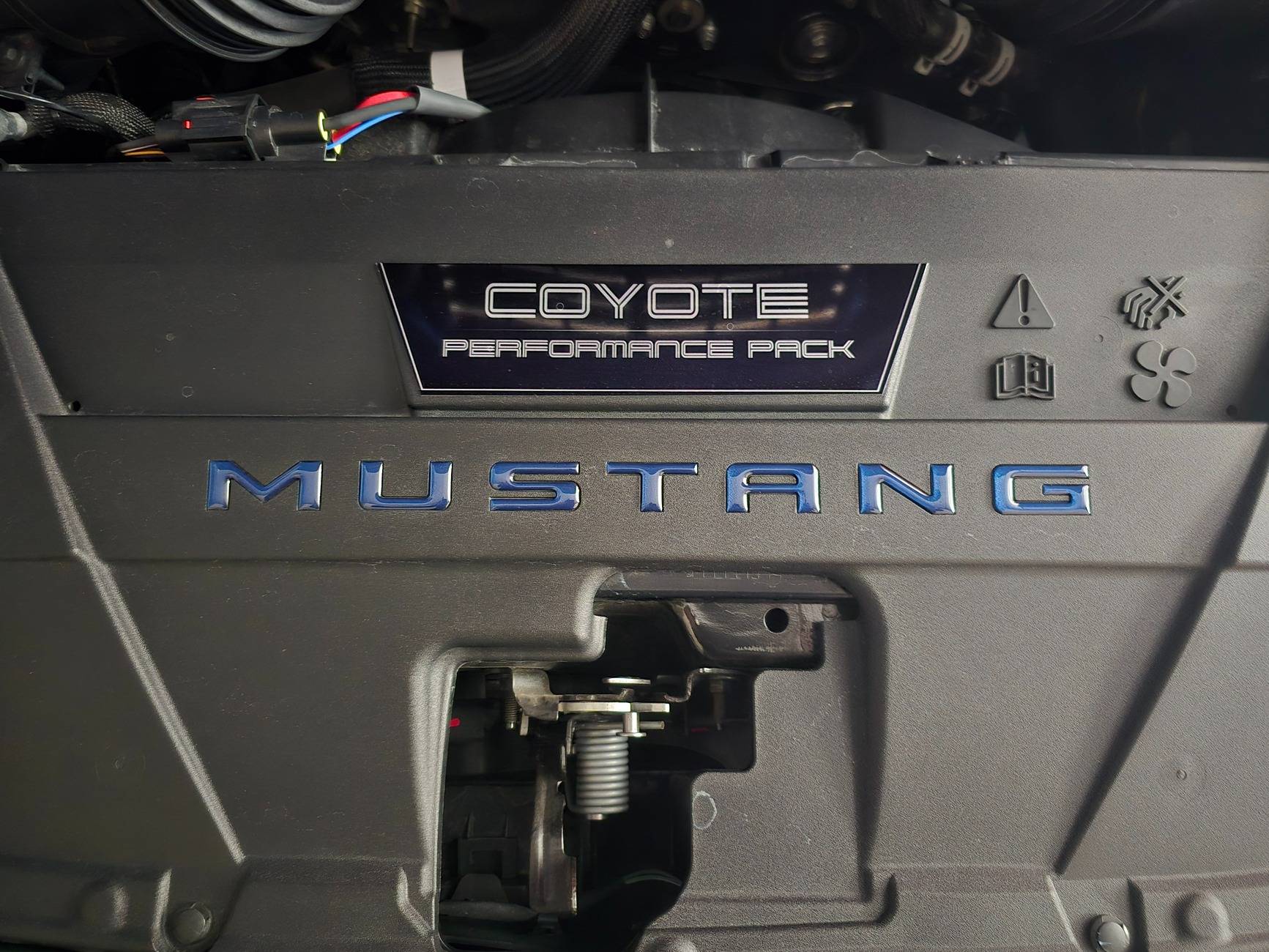 S650 Mustang My twin found me -- 2024 GT Grabber Blue 20240423_105722