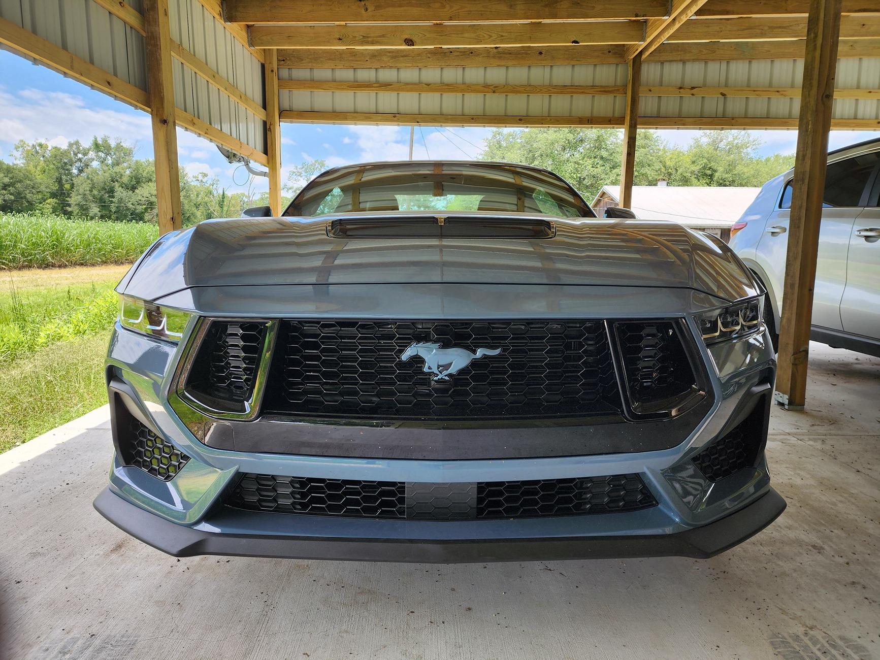 S650 Mustang Pony badge on front grille 20240530_131457
