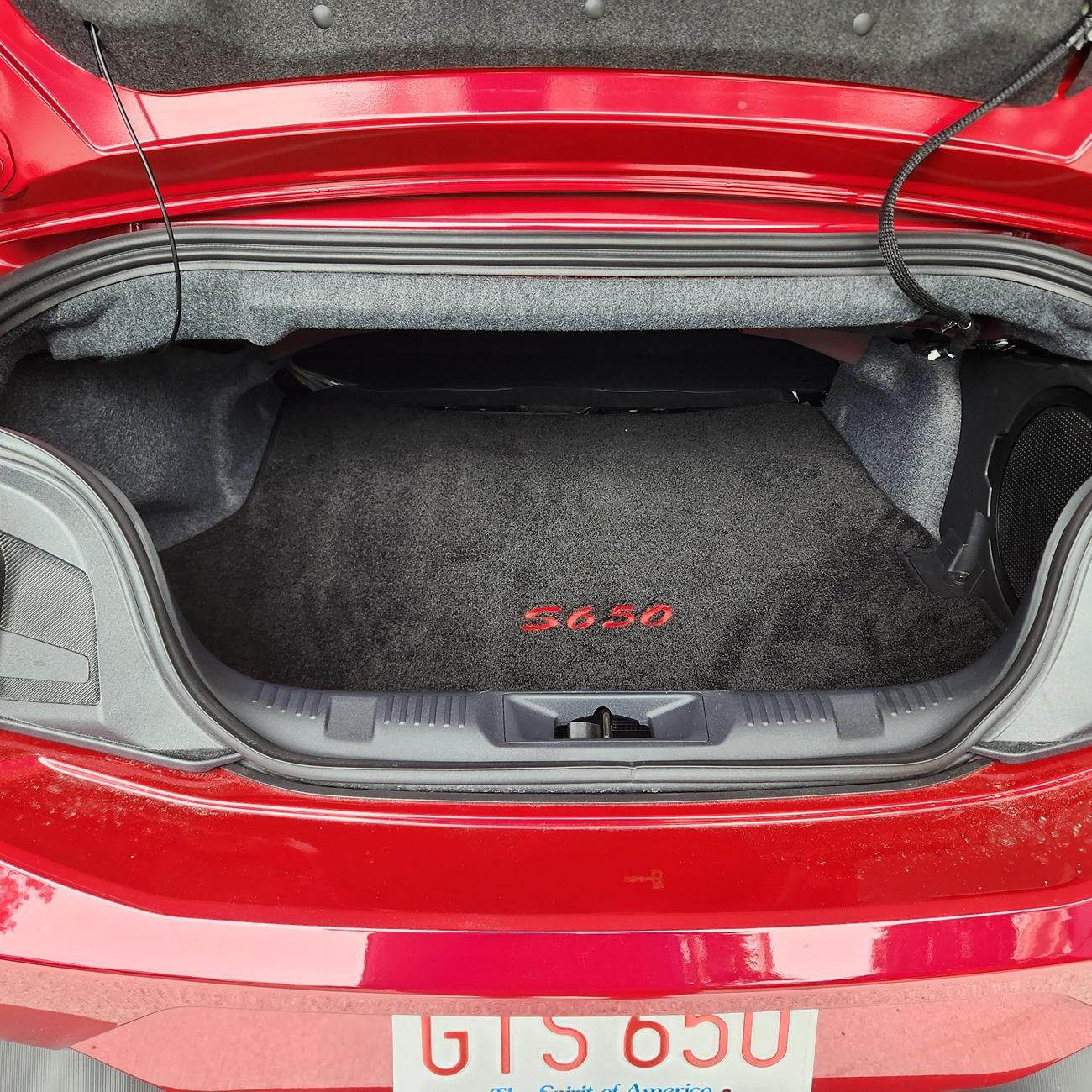 S650 Mustang Anyone making after market floor mats for S650? 20240623_134304