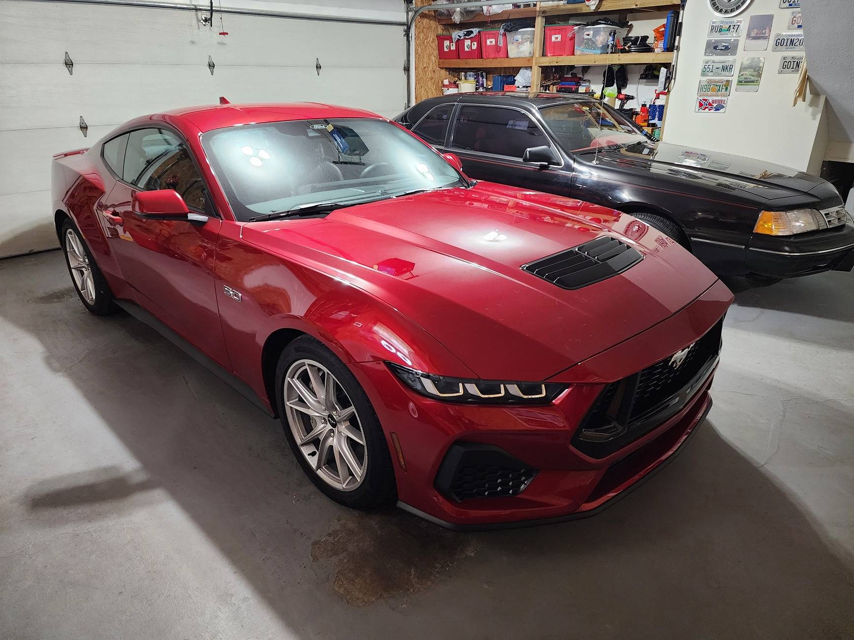 S650 Mustang Disabling the auto window scroll down so i can tint windows 20240819_163817