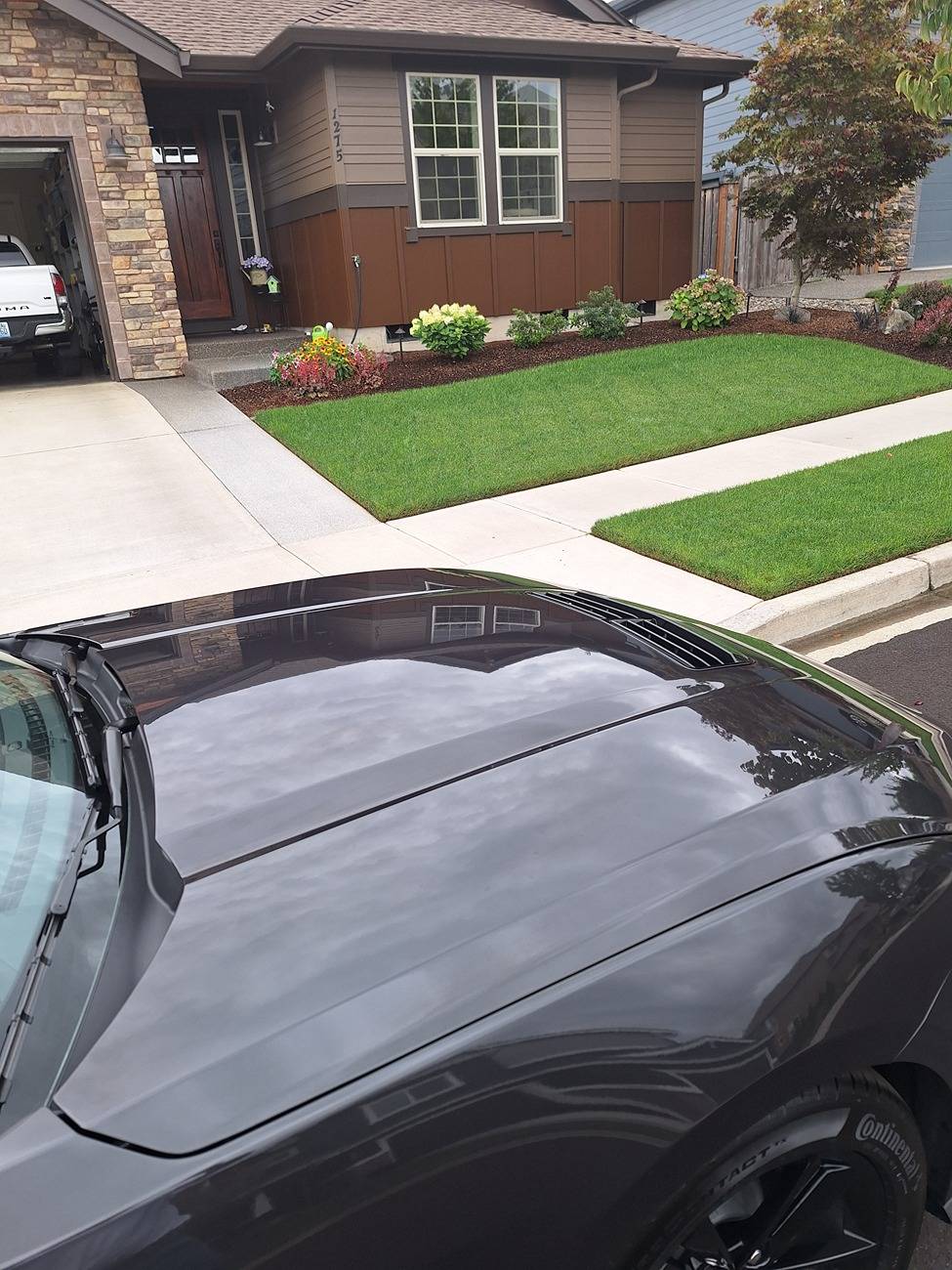 S650 Mustang Do all the S650s have this gap in the front on the hood? 20240824_140700