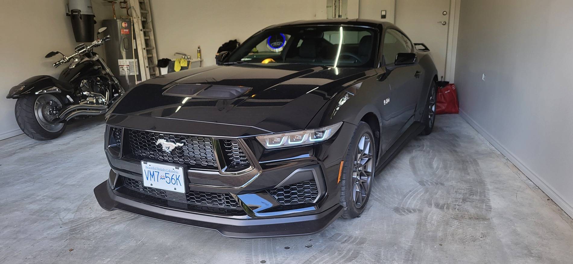 S650 Mustang Post your motorcycle along with your Mustang if you have one. 20240825_164819(1)