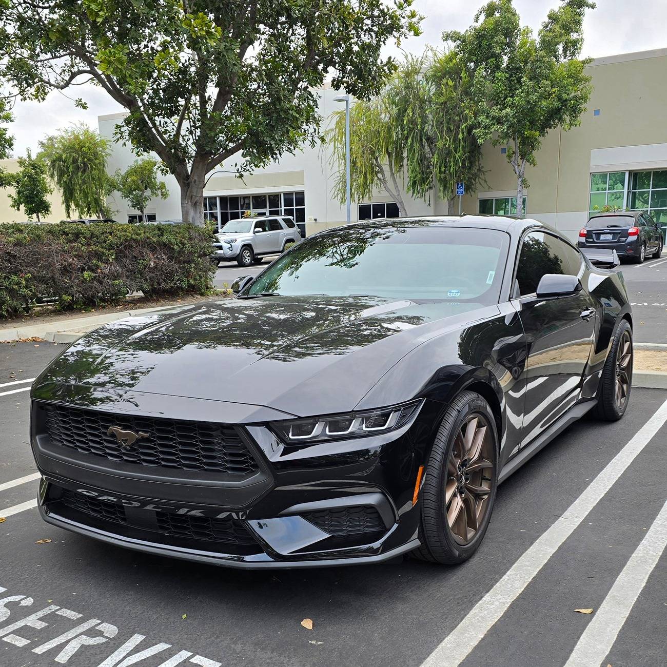 S650 Mustang Share your Fav S650 shot 20240920_112350
