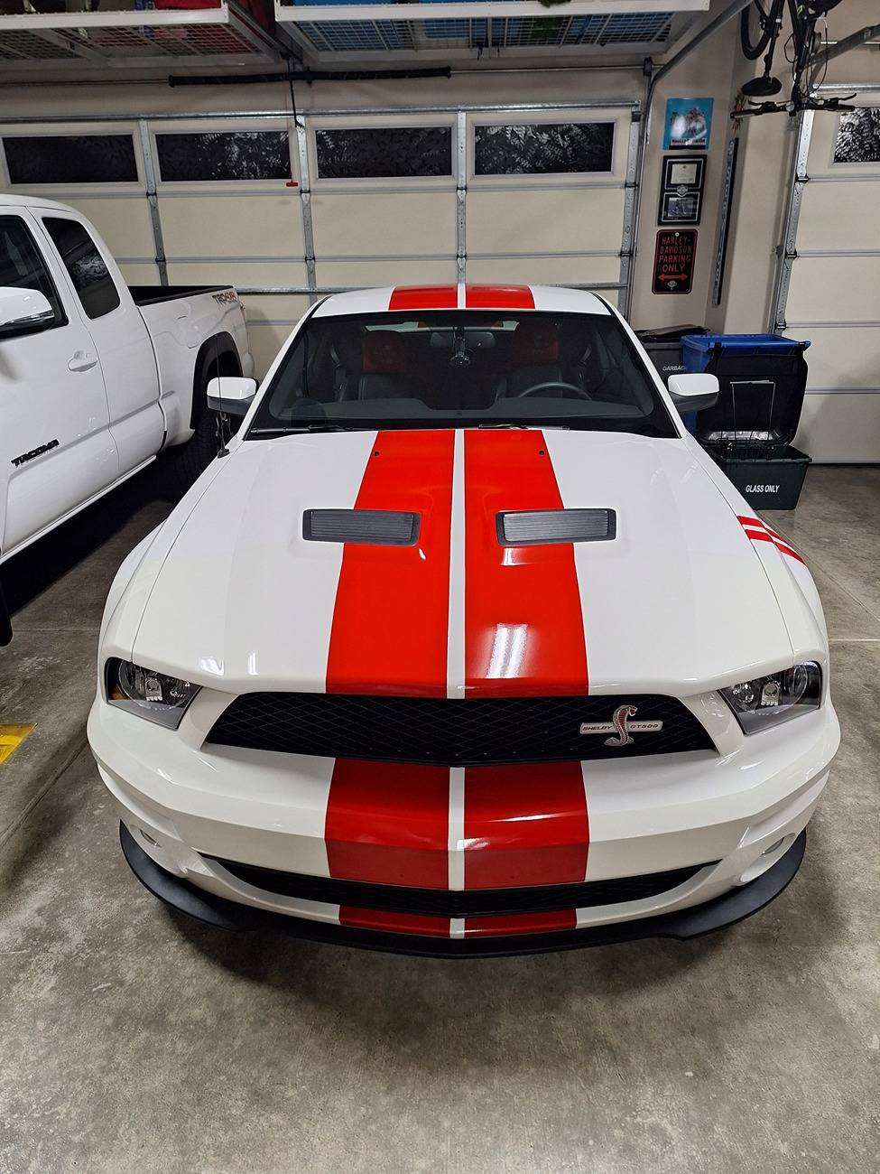 S650 Mustang Anyone add PPF? 20240924_201452
