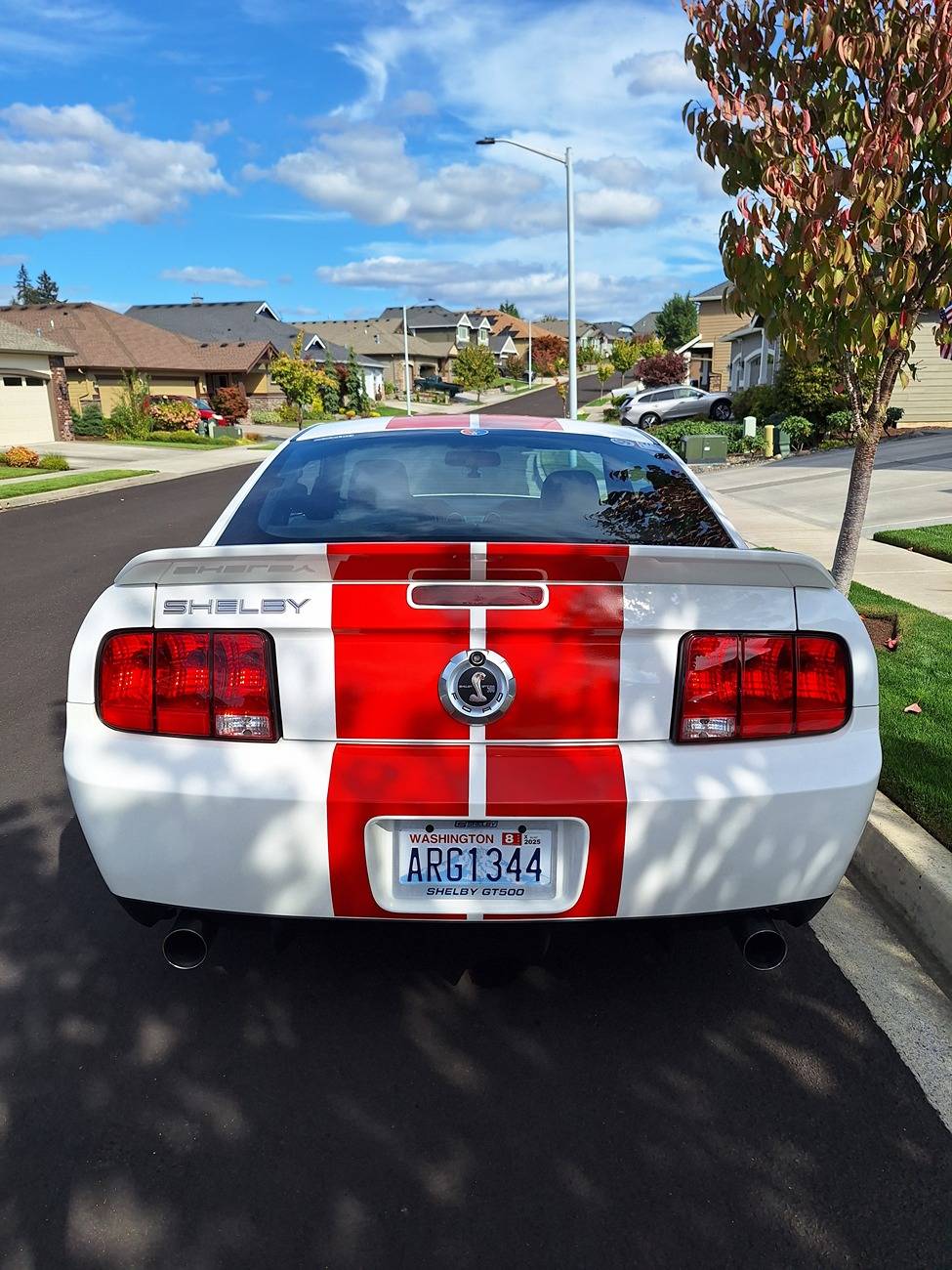 S650 Mustang Shelby pics 20240927_142126