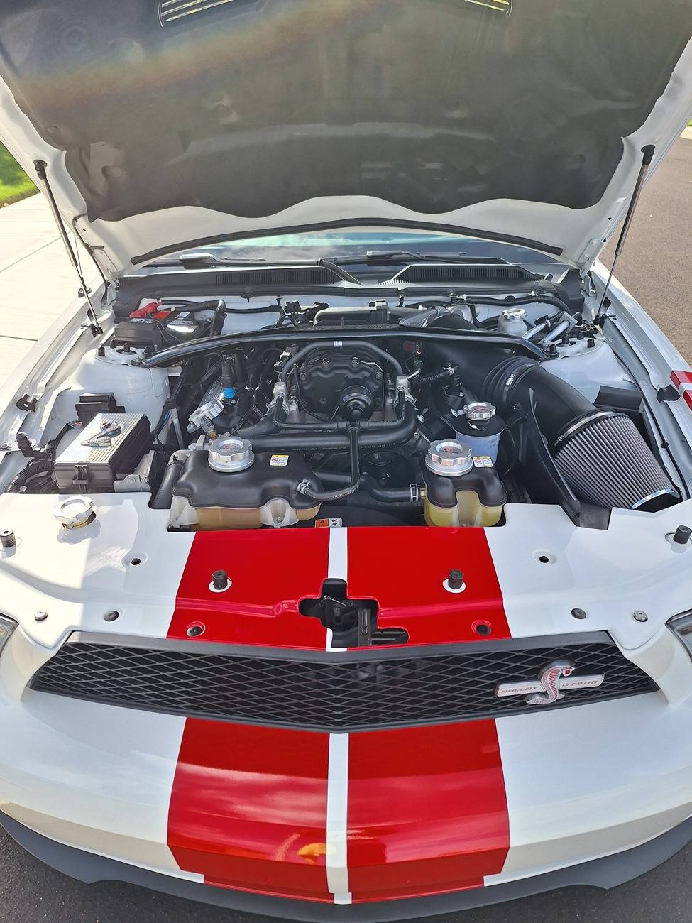 S650 Mustang Shelby pics 20240927_145207